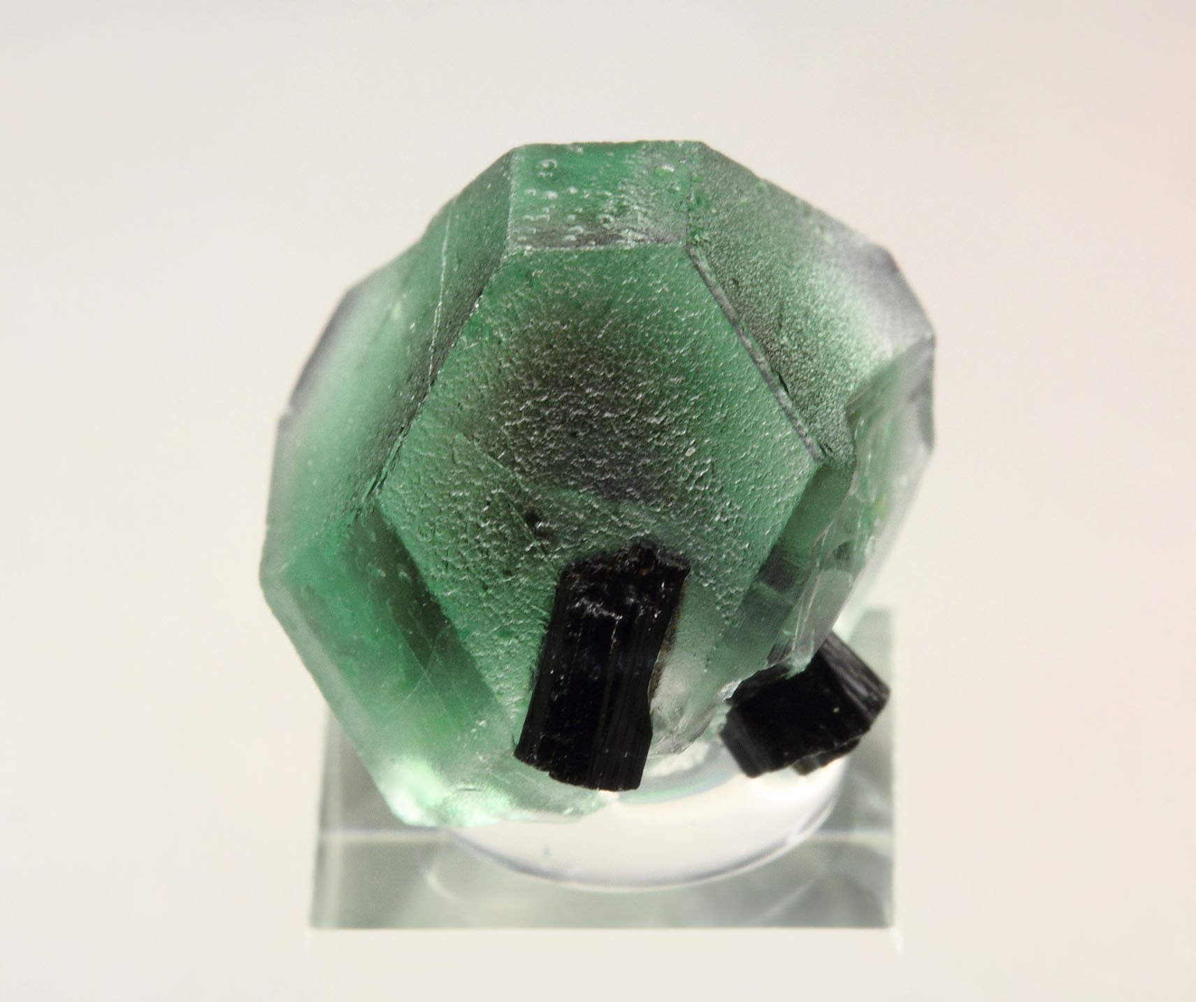 FLUORITE, TOURMALINE var. SCHORL