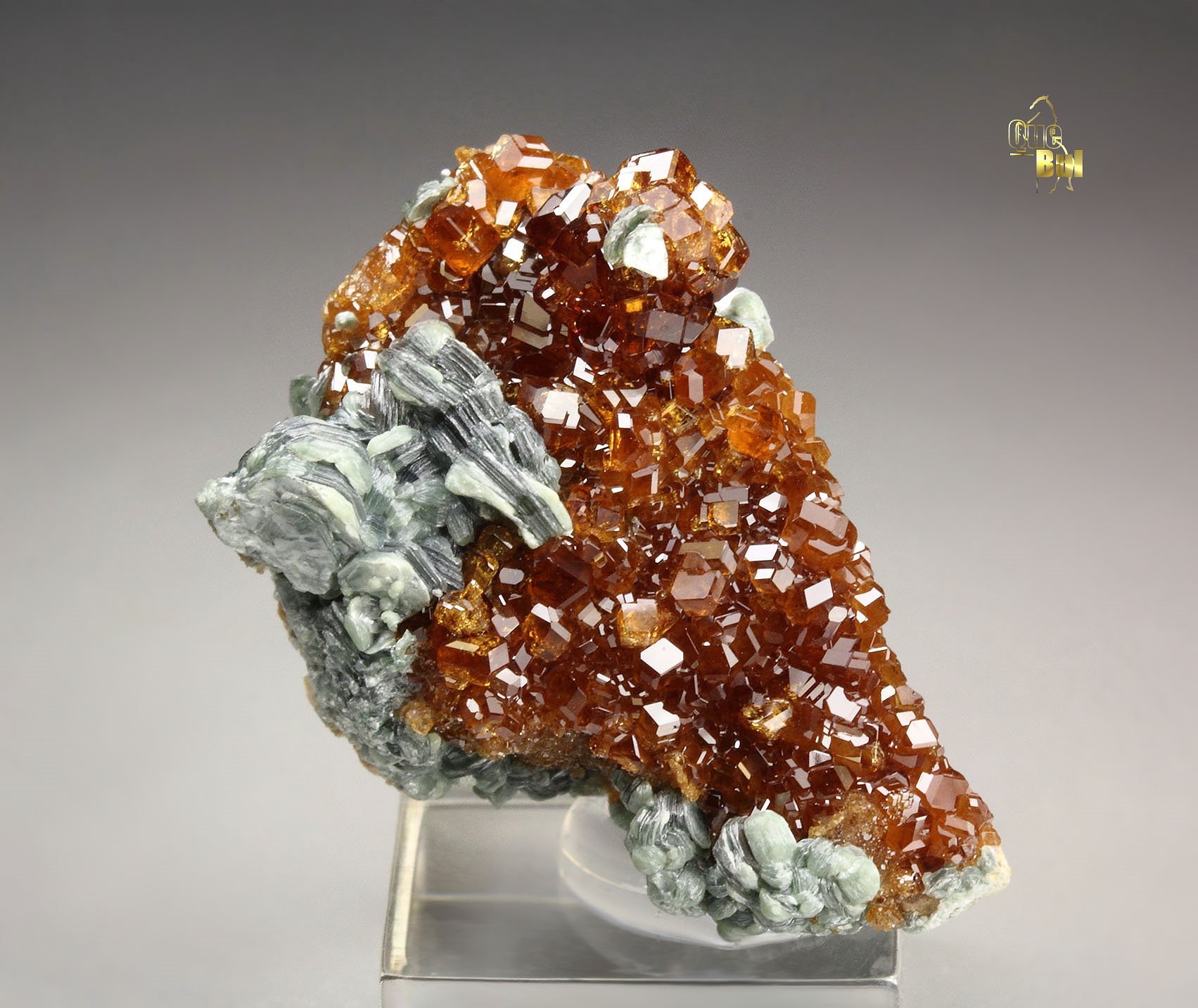 gem GARNET var. HESSONITE, CLINOCHLORE