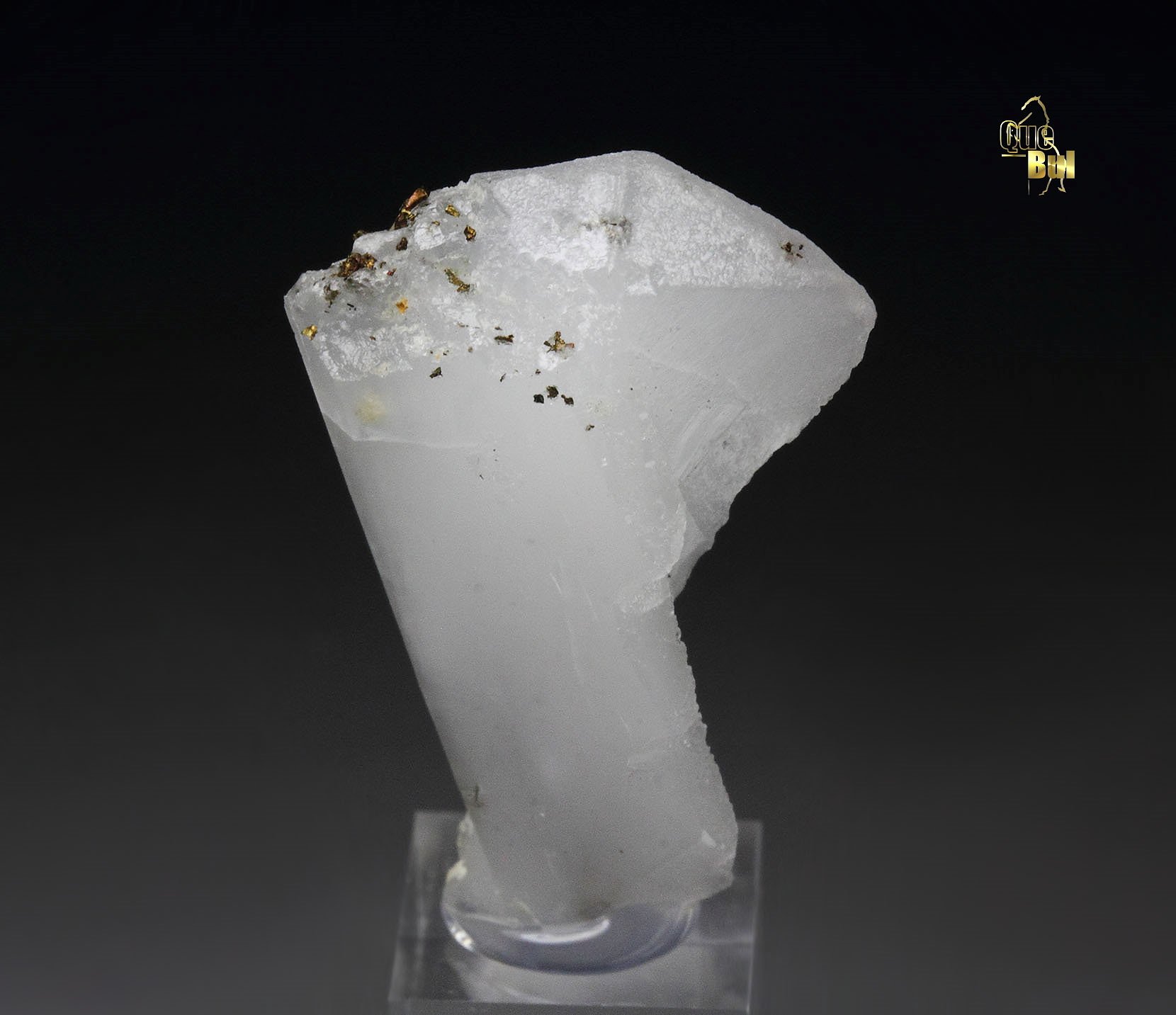twinned WHEWELLITE, CHALCOPYRITE