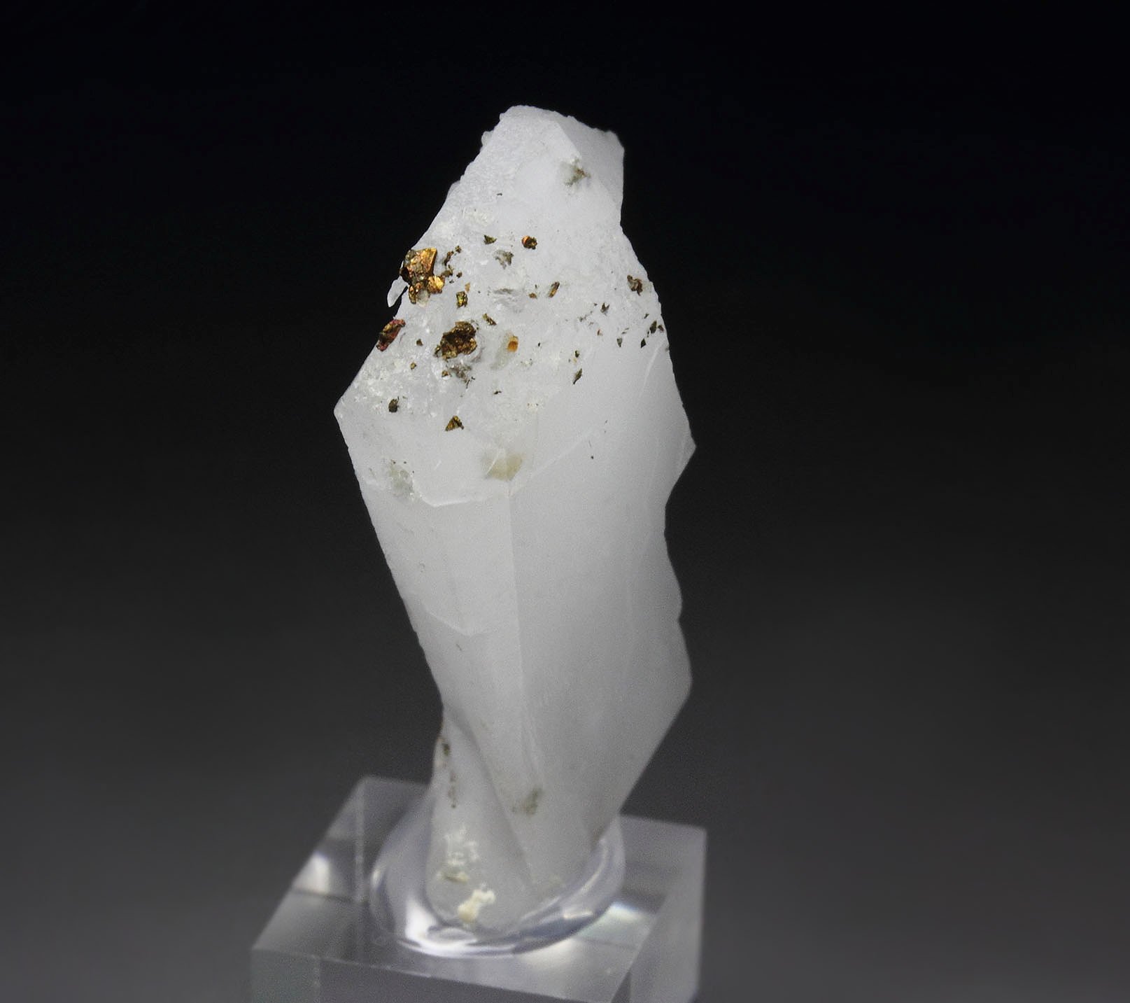 twinned WHEWELLITE, CHALCOPYRITE