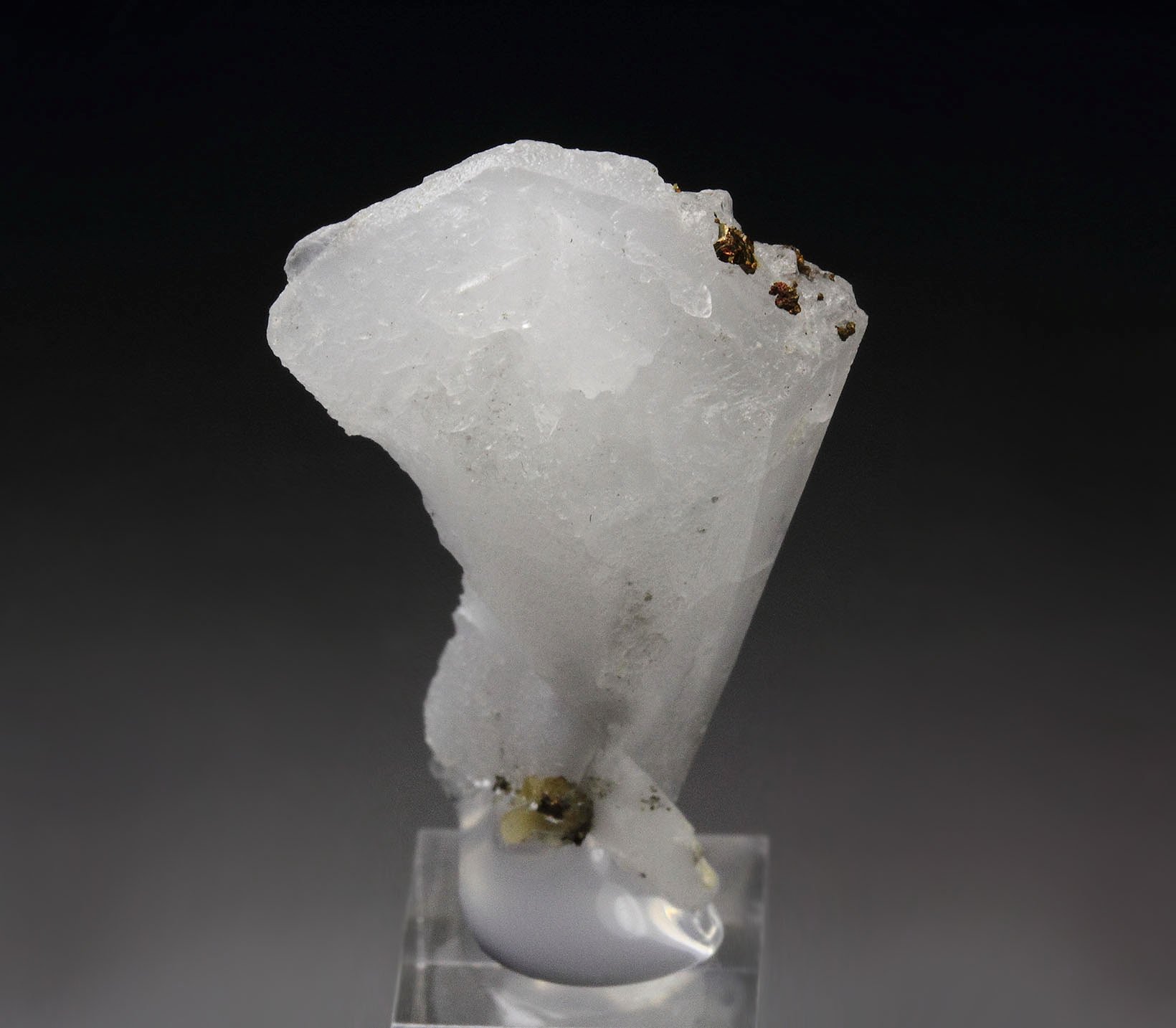 twinned WHEWELLITE, CHALCOPYRITE