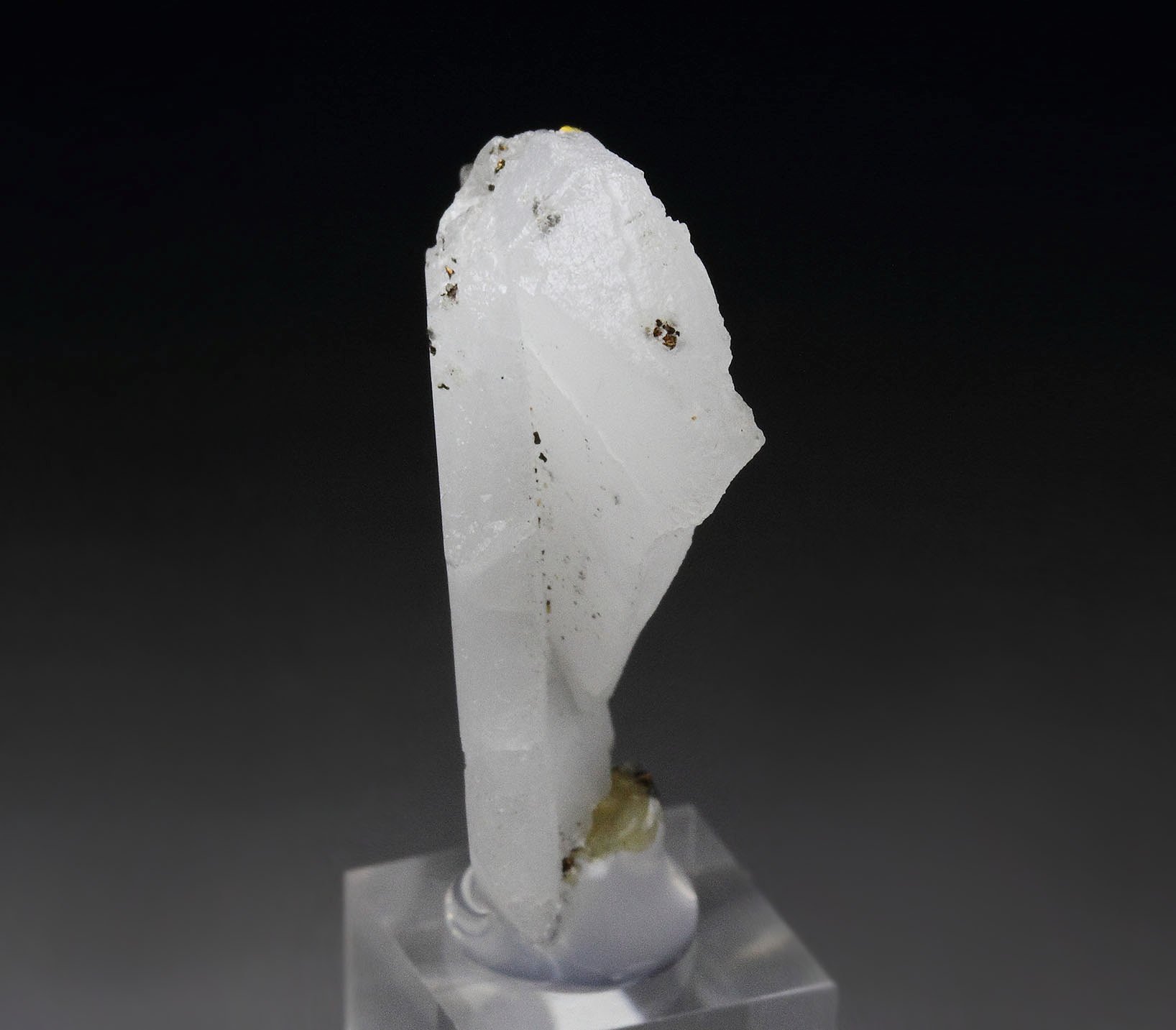 twinned WHEWELLITE, CHALCOPYRITE