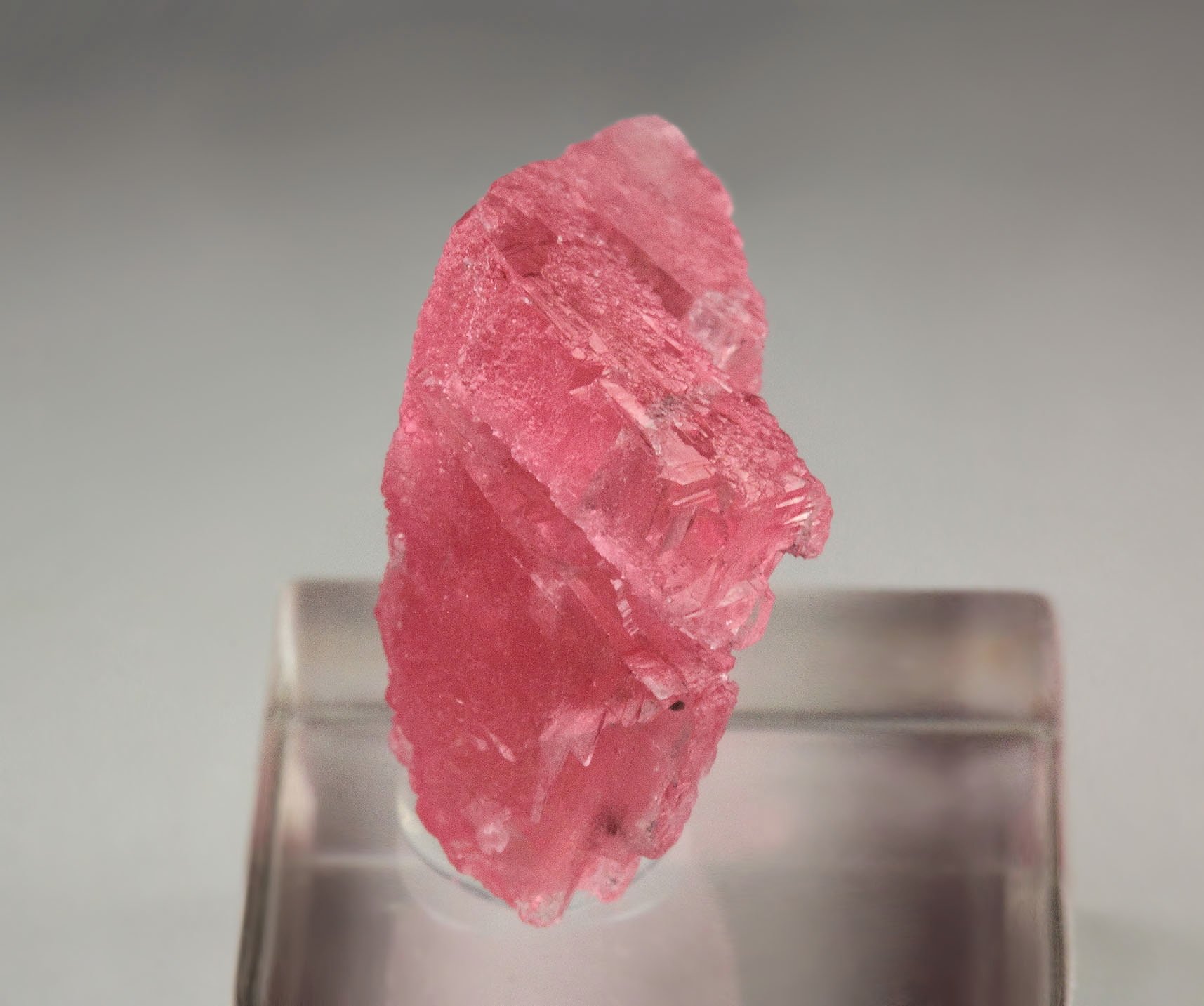 gemmy RHODOCHROSITE