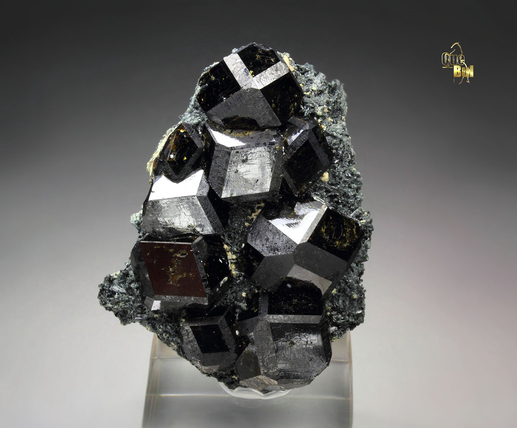 GARNET var. ANDRADITE var. MELANITE, PARGASITE