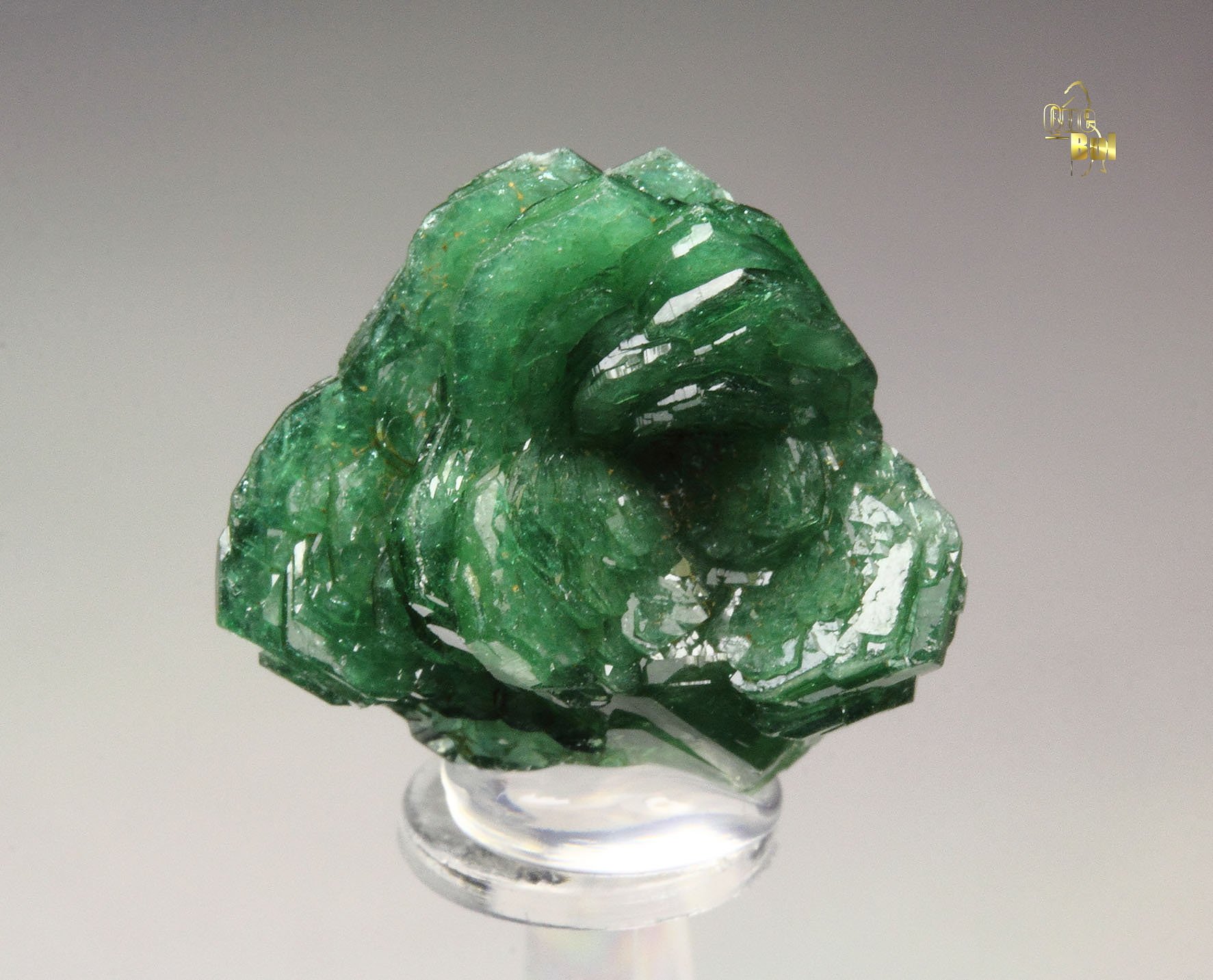 gemmy TOURMALINE var. DRAVITE var. CHROMIUM-BEARING DRAVITE rose