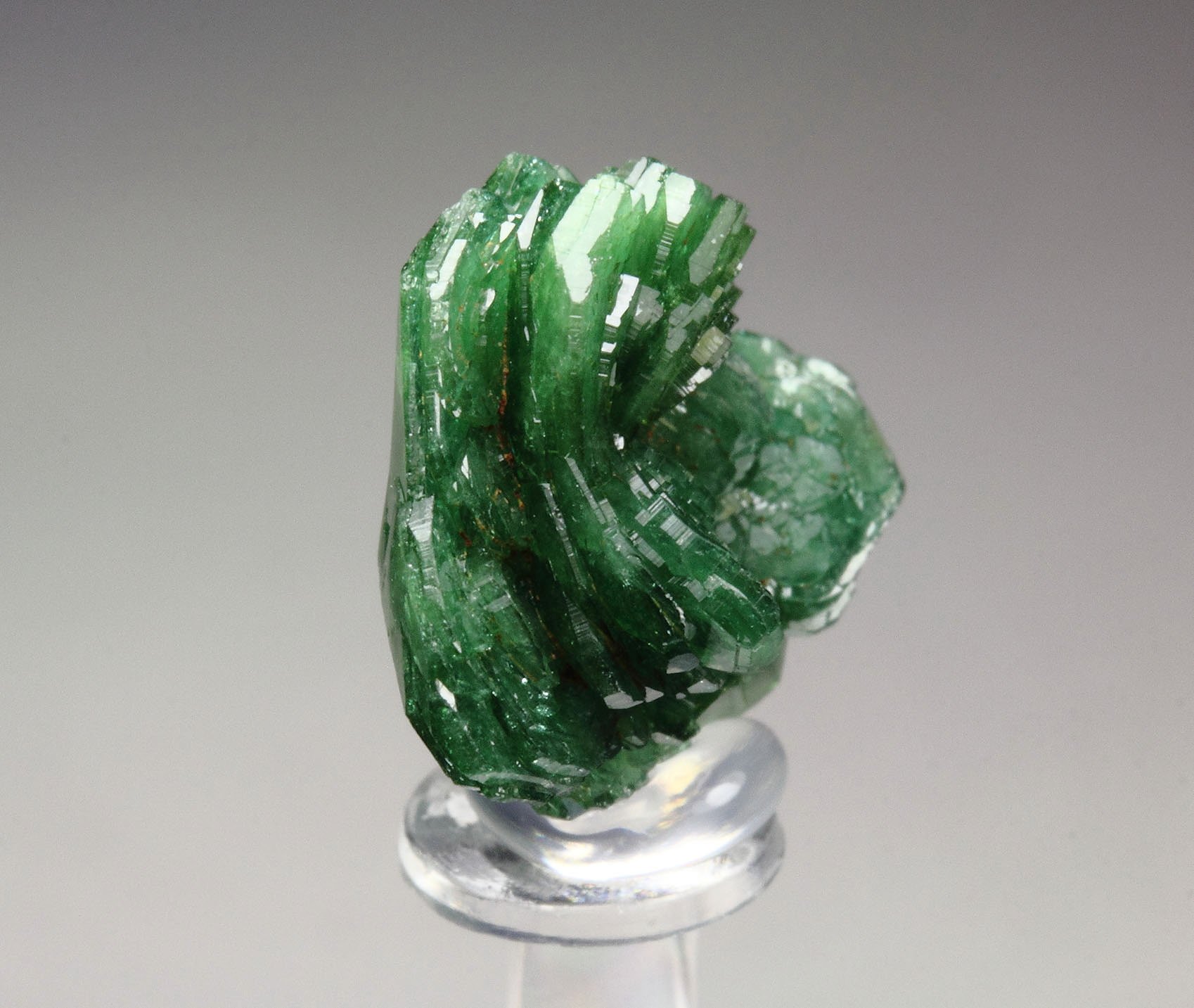 gemmy TOURMALINE var. DRAVITE var. CHROMIUM-BEARING DRAVITE rose