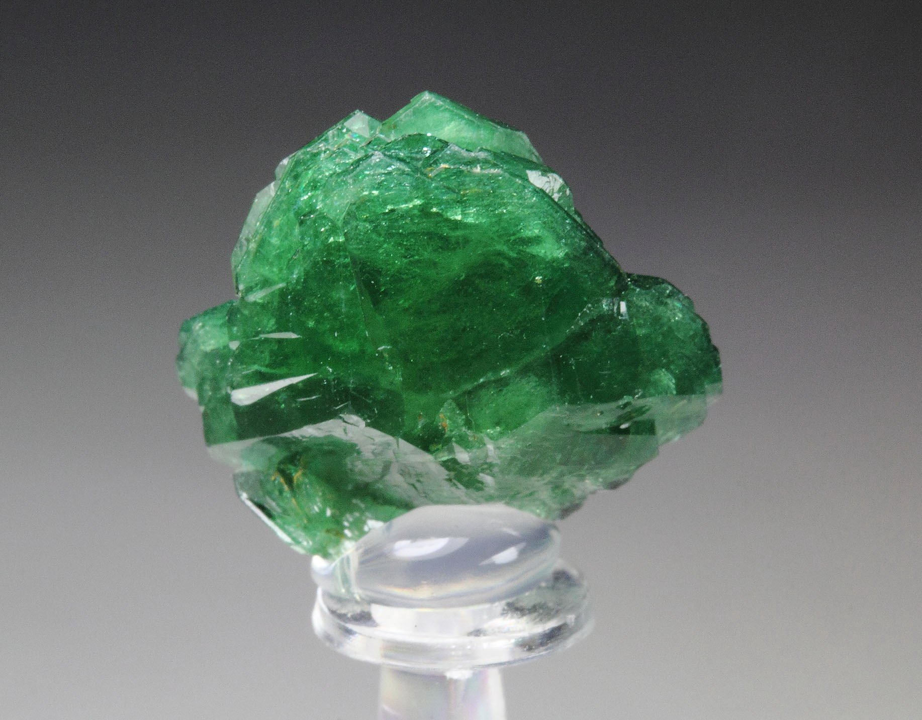 gemmy TOURMALINE var. DRAVITE var. CHROMIUM-BEARING DRAVITE rose