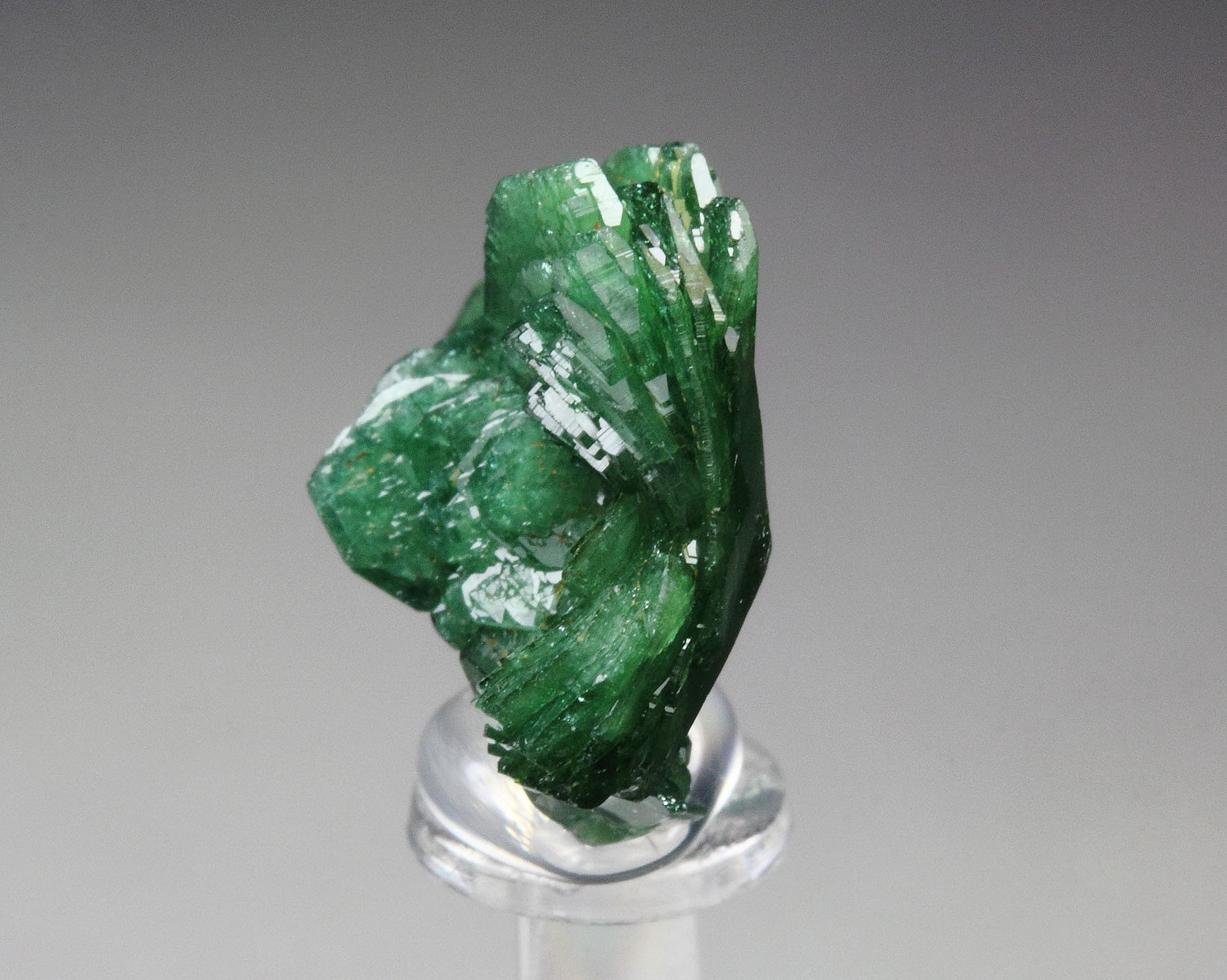 gemmy TOURMALINE var. DRAVITE var. CHROMIUM-BEARING DRAVITE rose