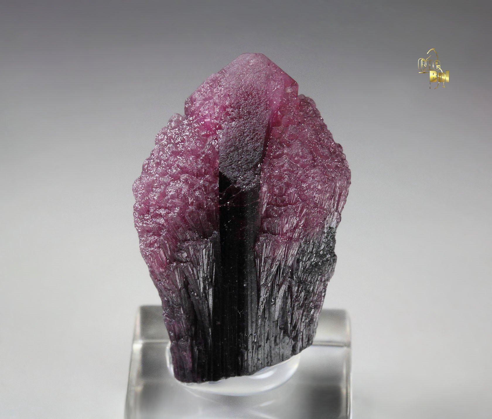 TOURMALINE var. RUBELLITE