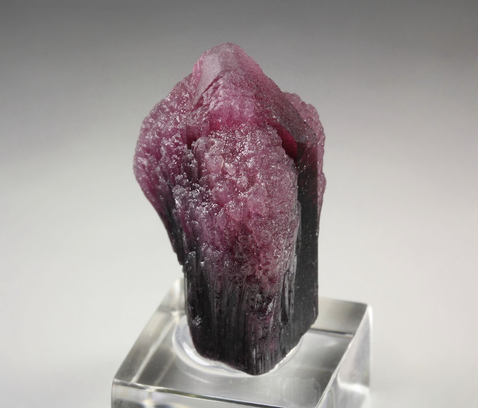 TOURMALINE var. RUBELLITE