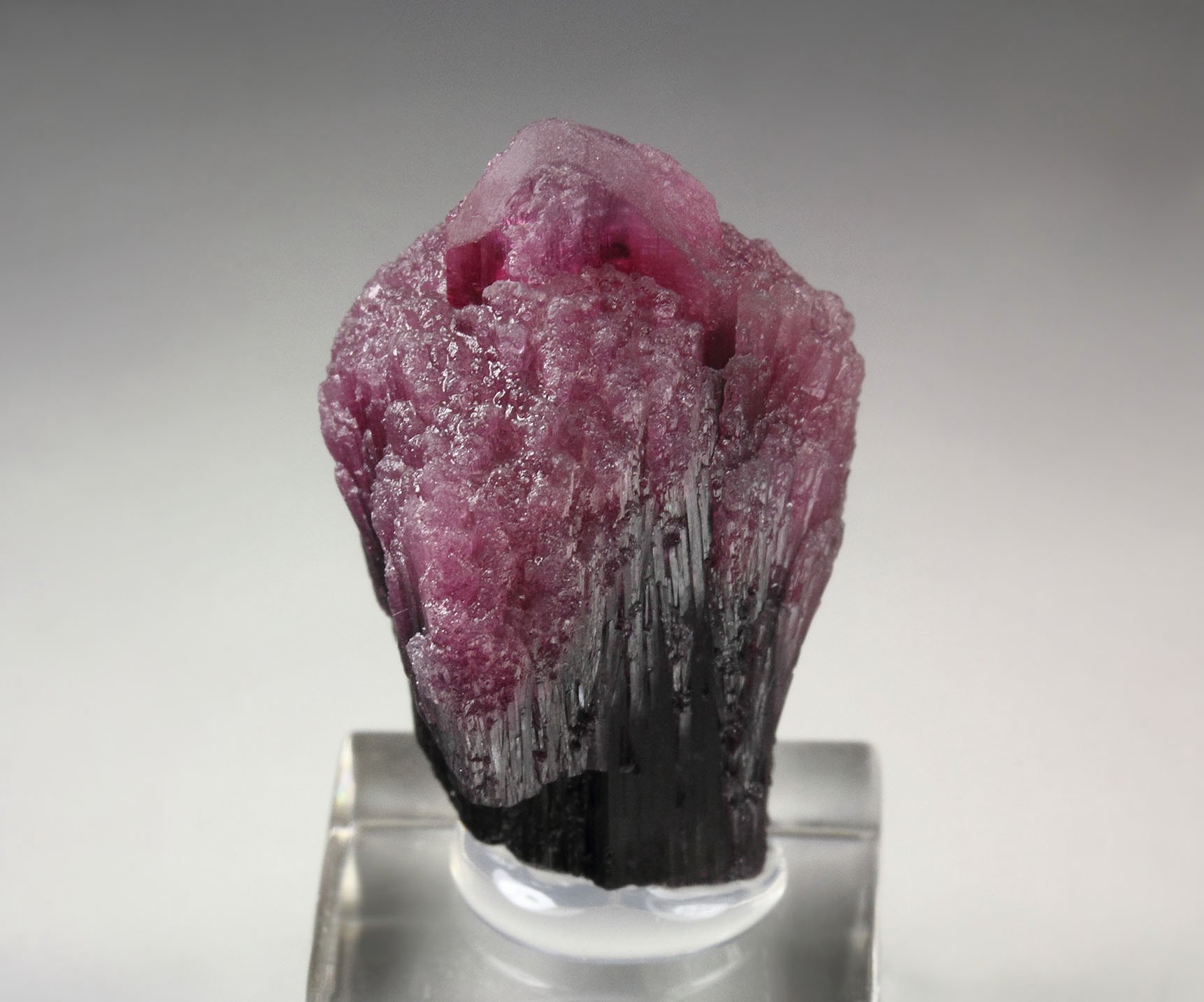 TOURMALINE var. RUBELLITE