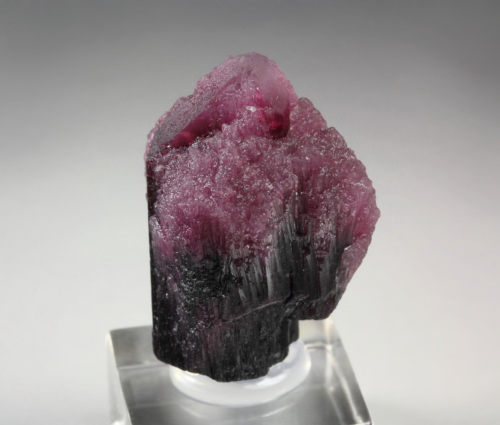 TOURMALINE var. RUBELLITE