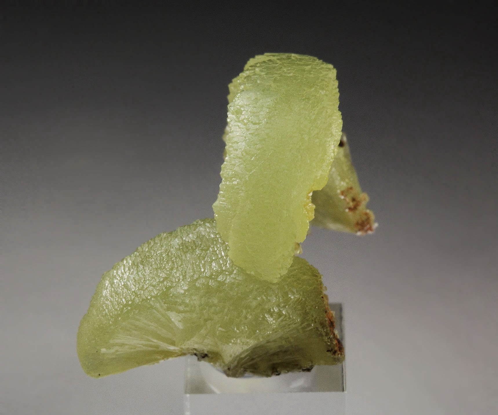 ADAMITE