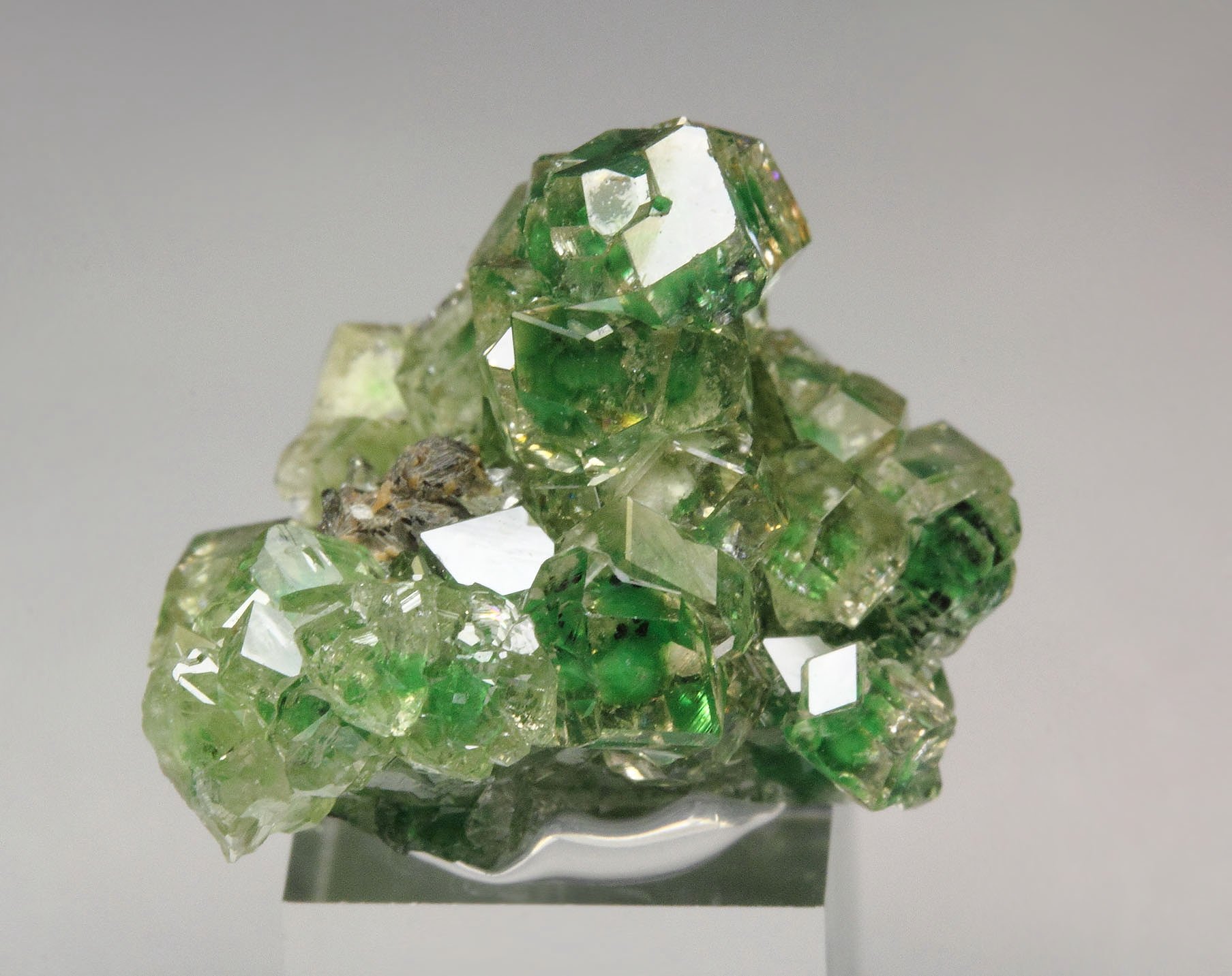 gem GARNET var. GROSSULAR with GREEN CHROMIAN PHANTOMS, CHROMITE