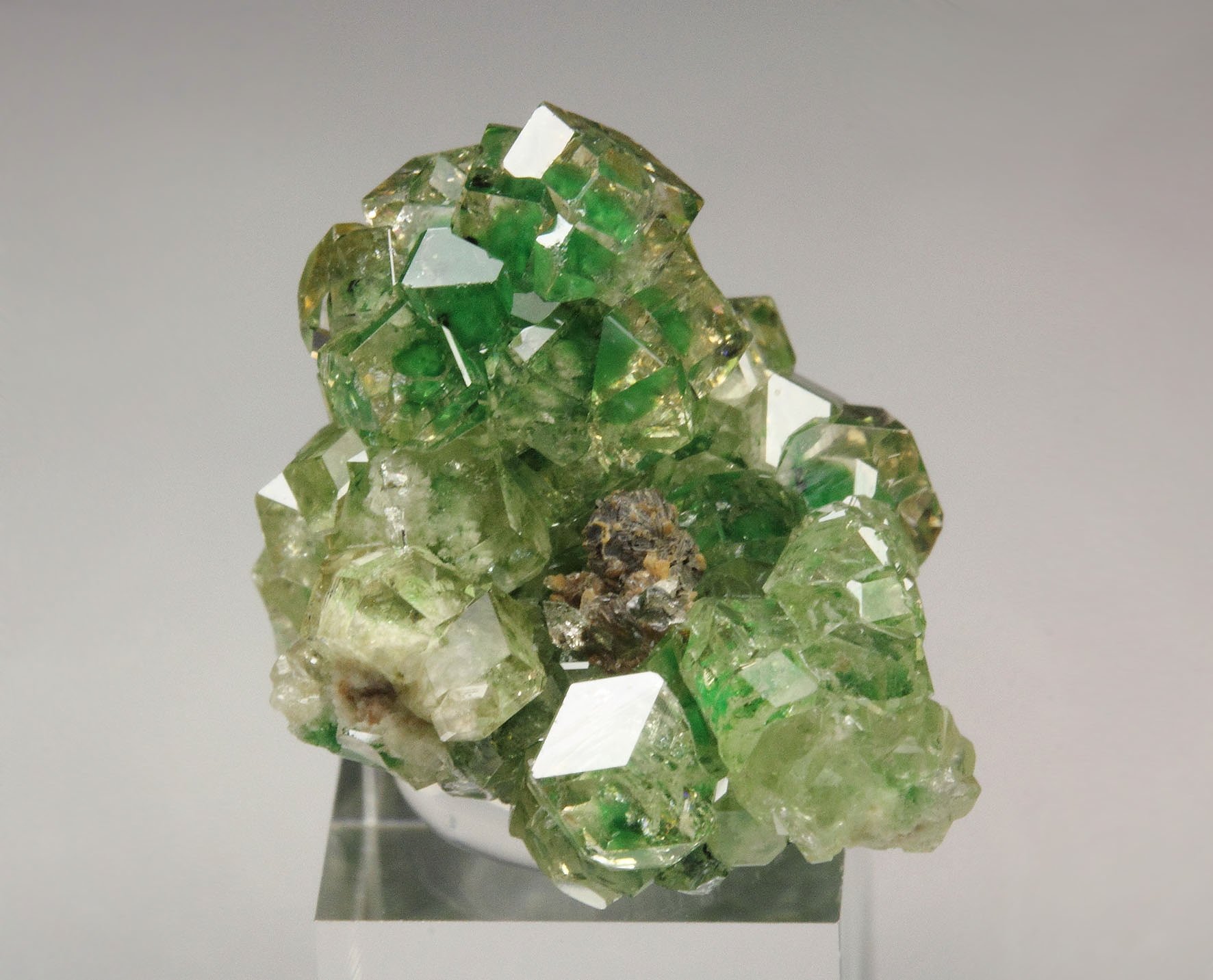 gem GARNET var. GROSSULAR with GREEN CHROMIAN PHANTOMS, CHROMITE