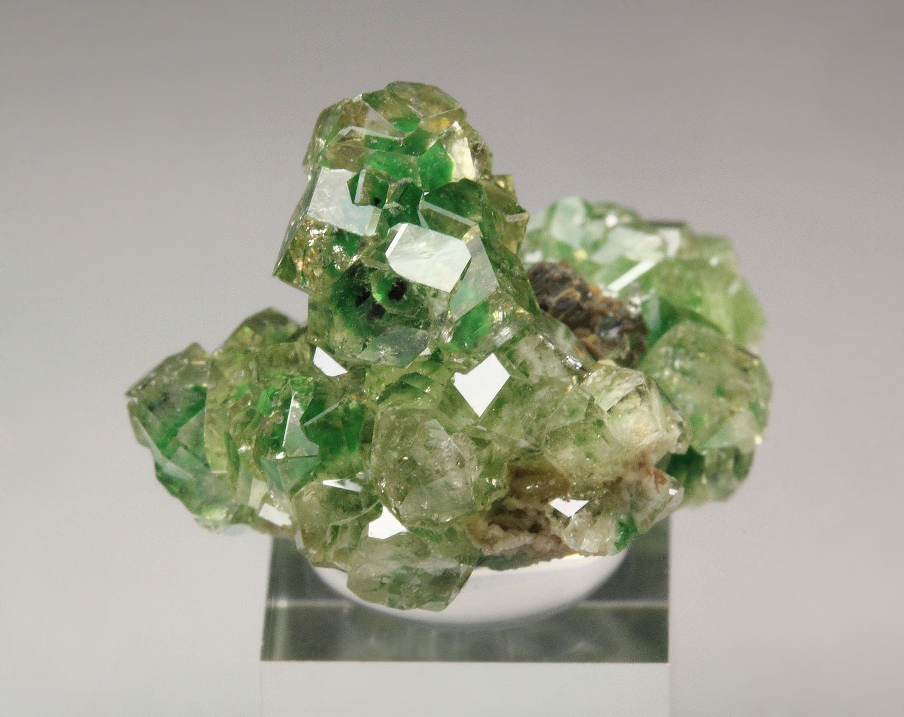 gem GARNET var. GROSSULAR with GREEN CHROMIAN PHANTOMS, CHROMITE