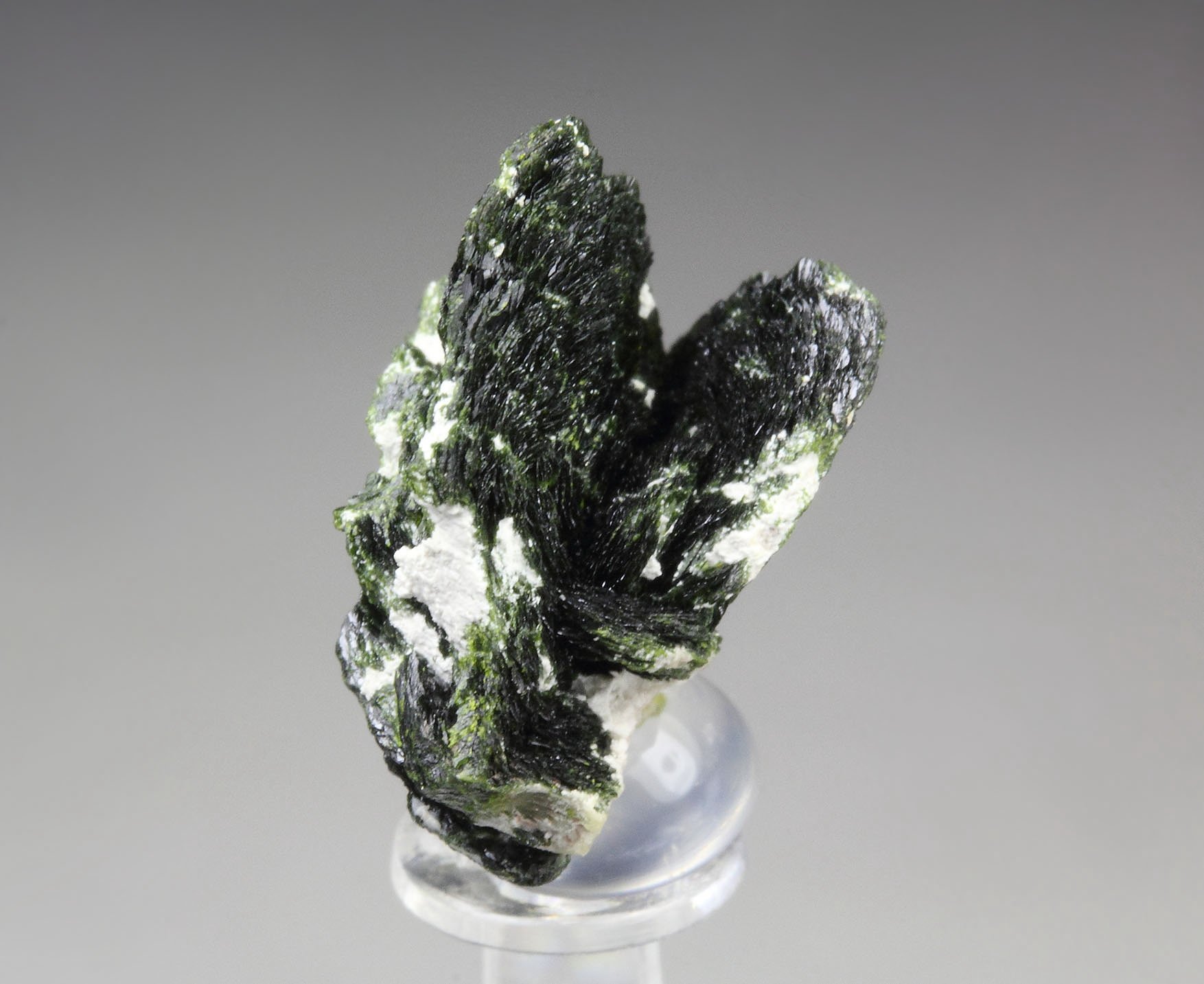 VOLBORTHITE