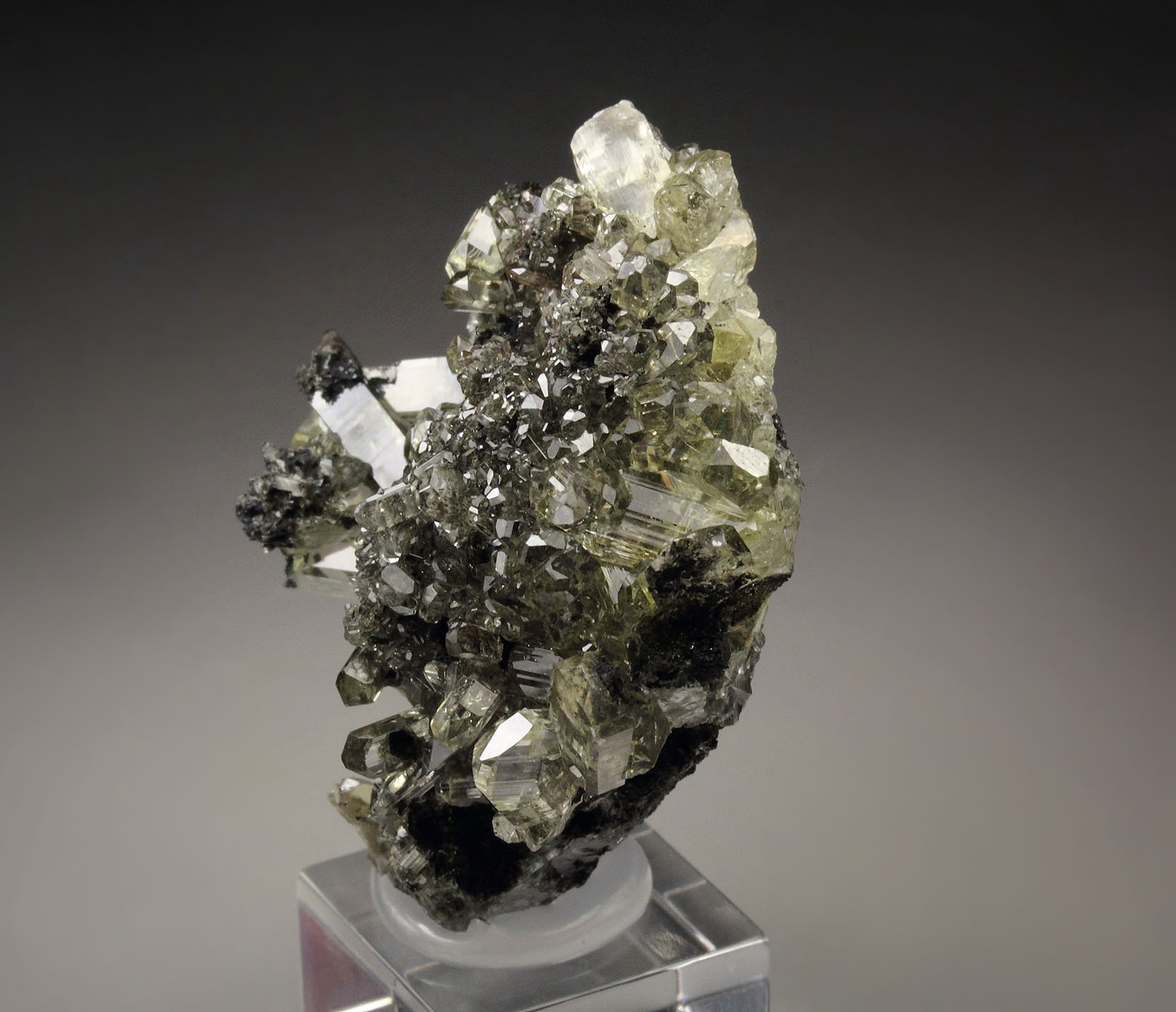 gem ANGLESITE, GALENA