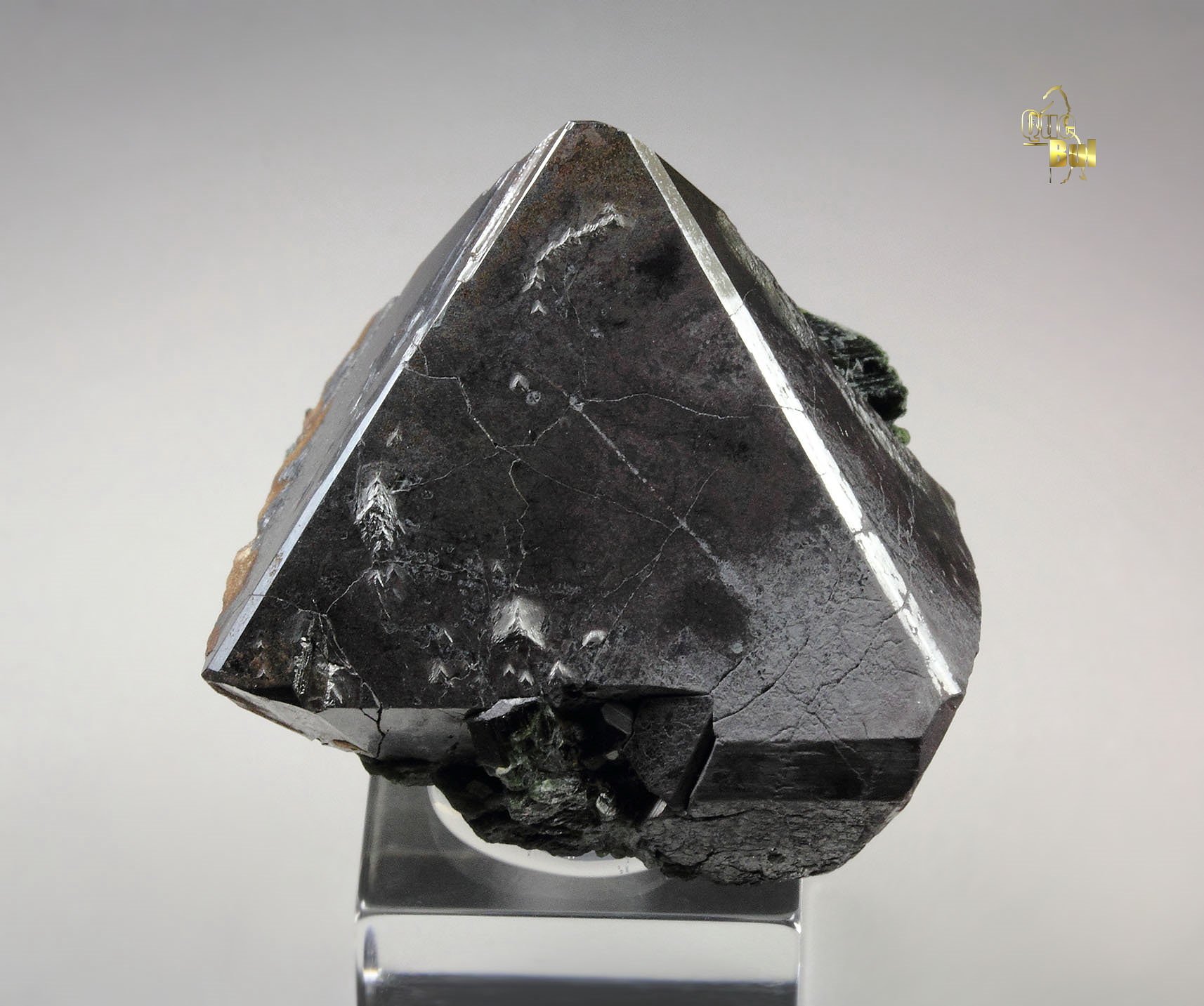 MAGNETITE, ACTINOLITE