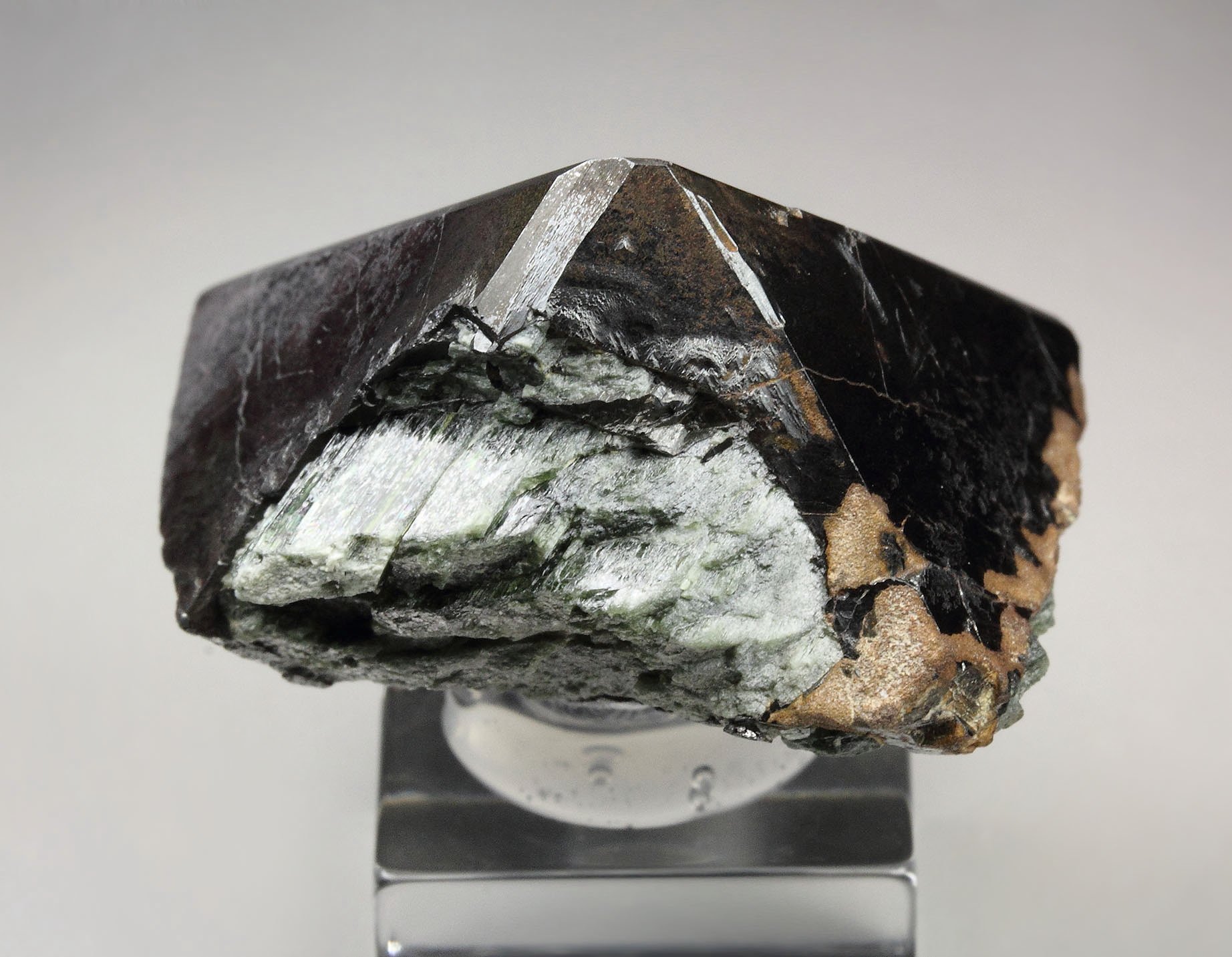 MAGNETITE, ACTINOLITE