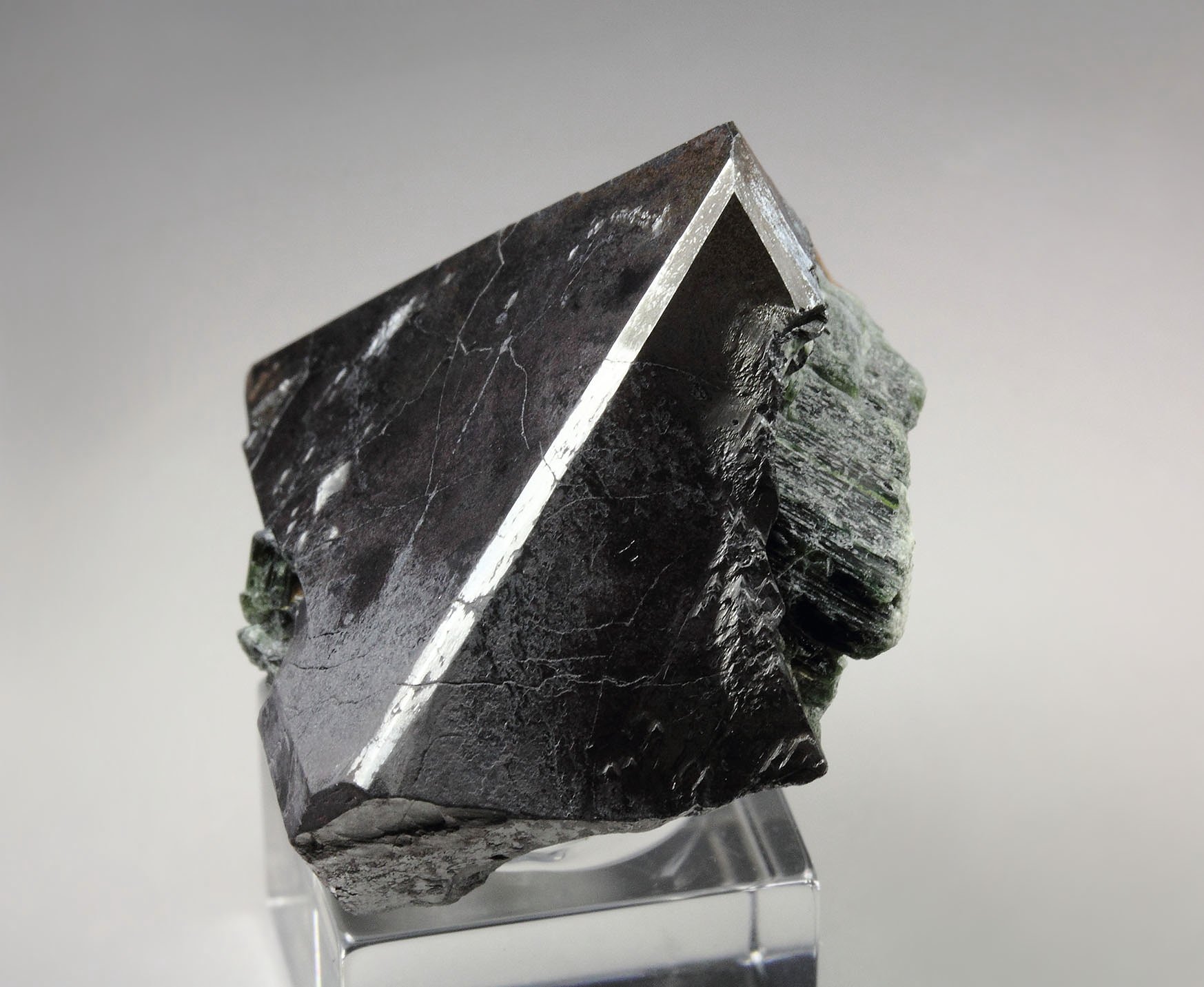 MAGNETITE, ACTINOLITE