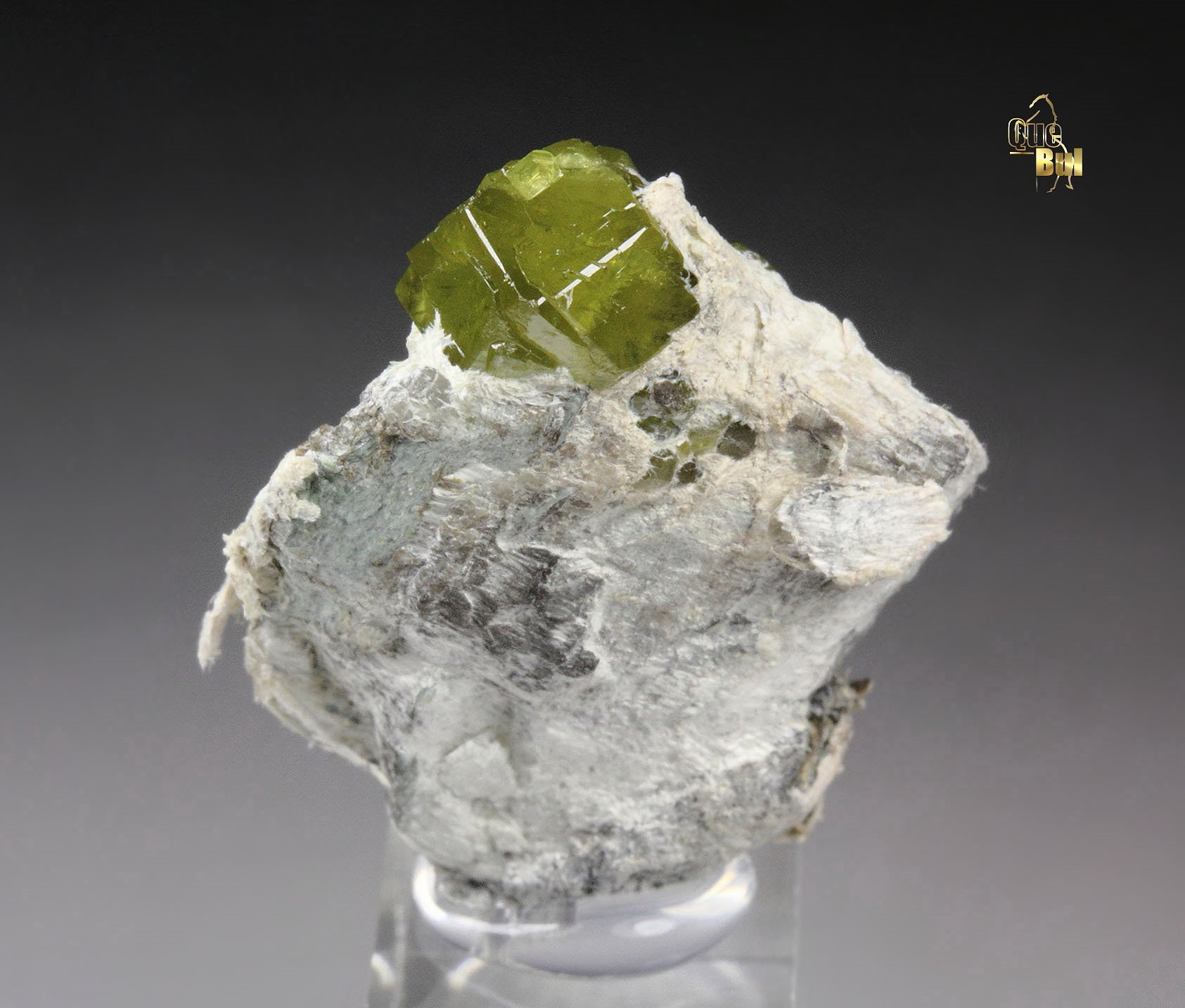 gem GARNET var. ANDRADITE var. DEMANTOID