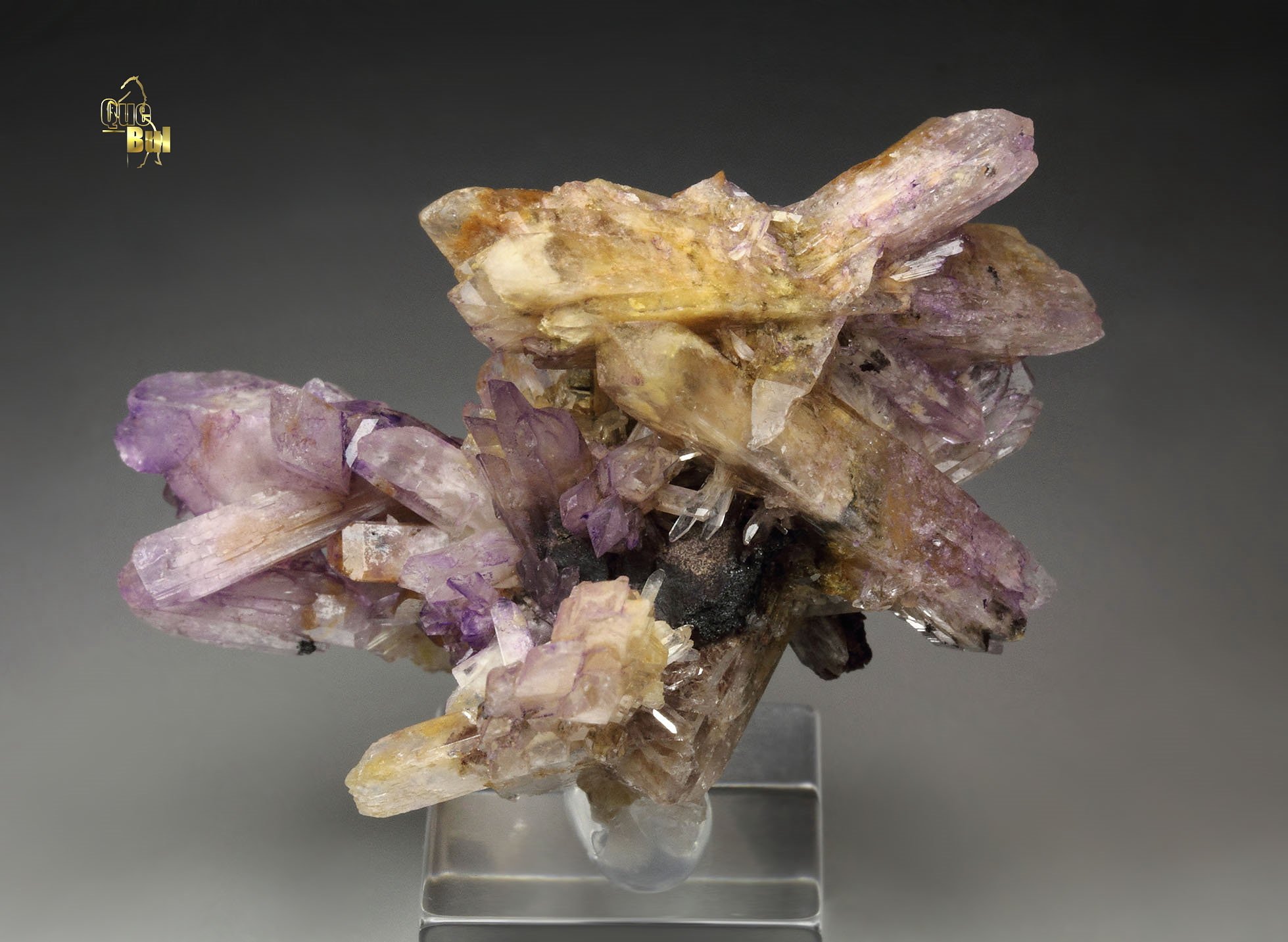 CREEDITE