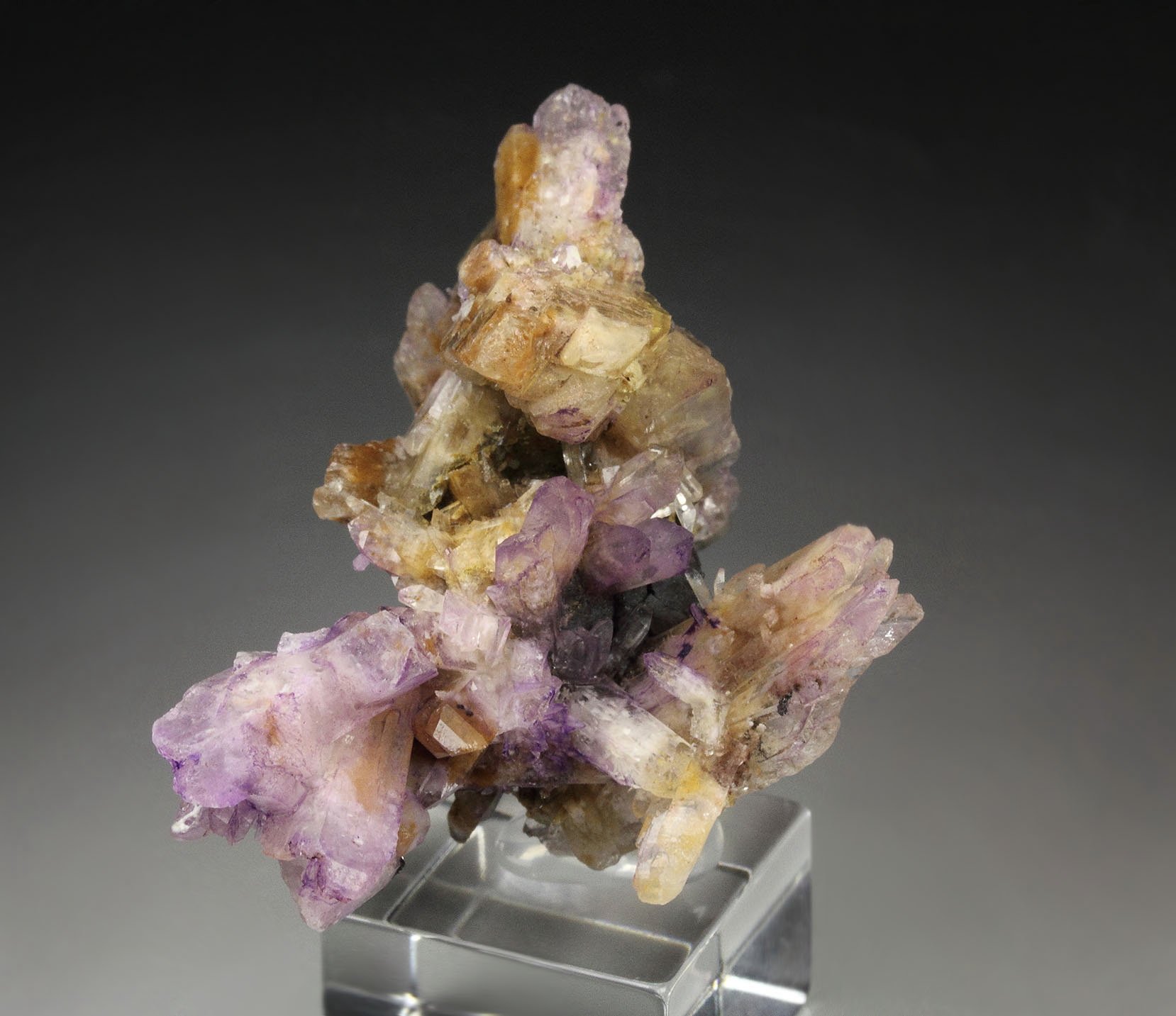 CREEDITE