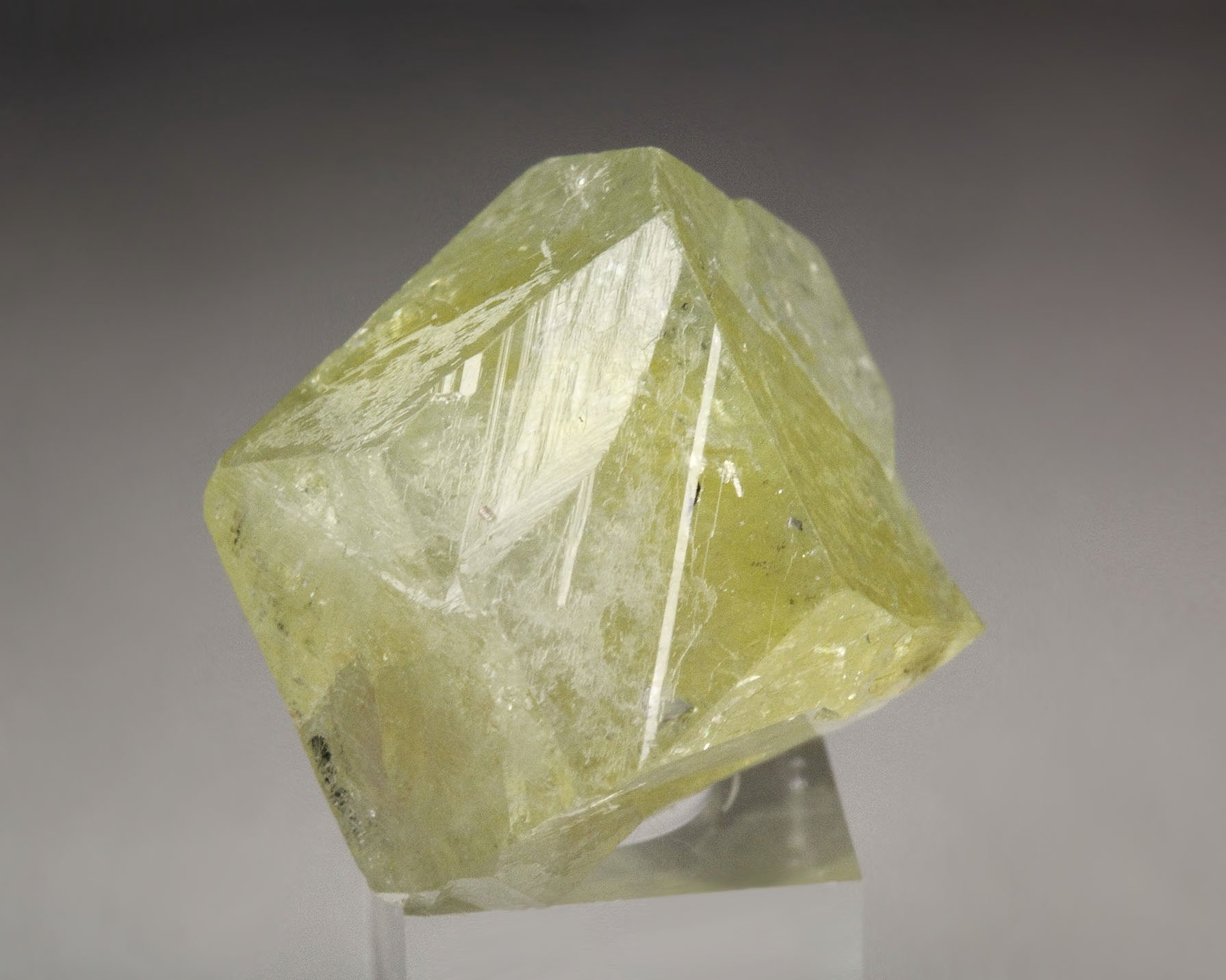 gemmy LONDONITE-RHODIZITE series
