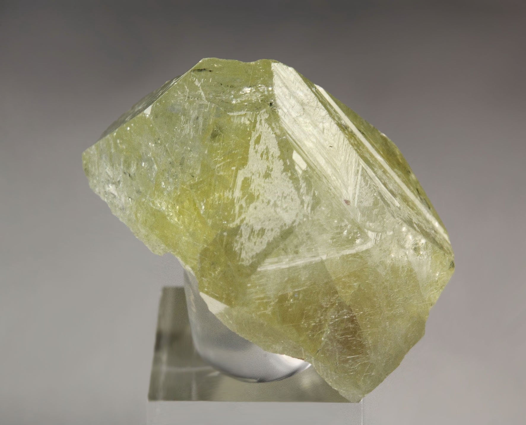 gemmy LONDONITE-RHODIZITE series