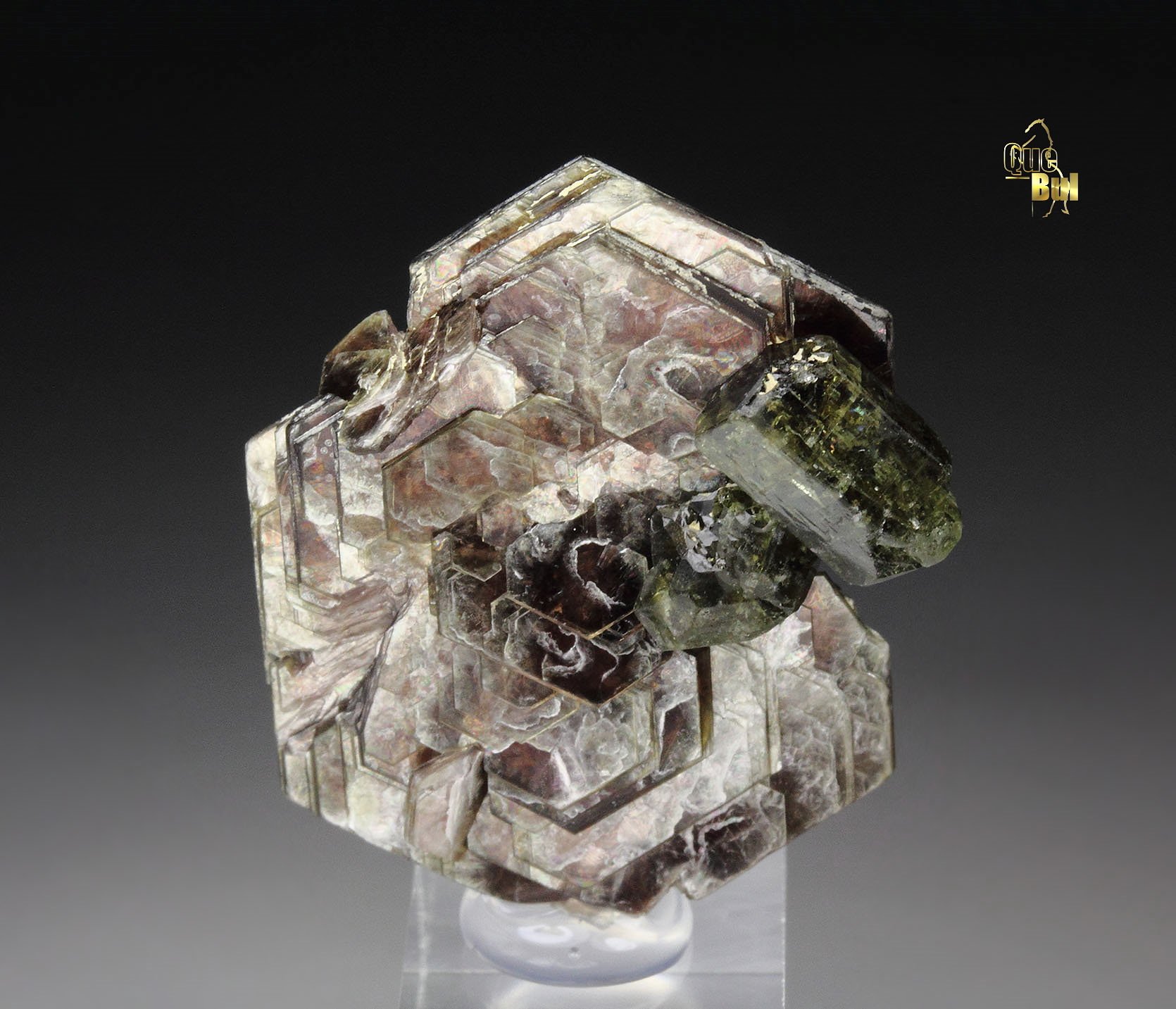 MUSCOVITE, FLUORAPATITE