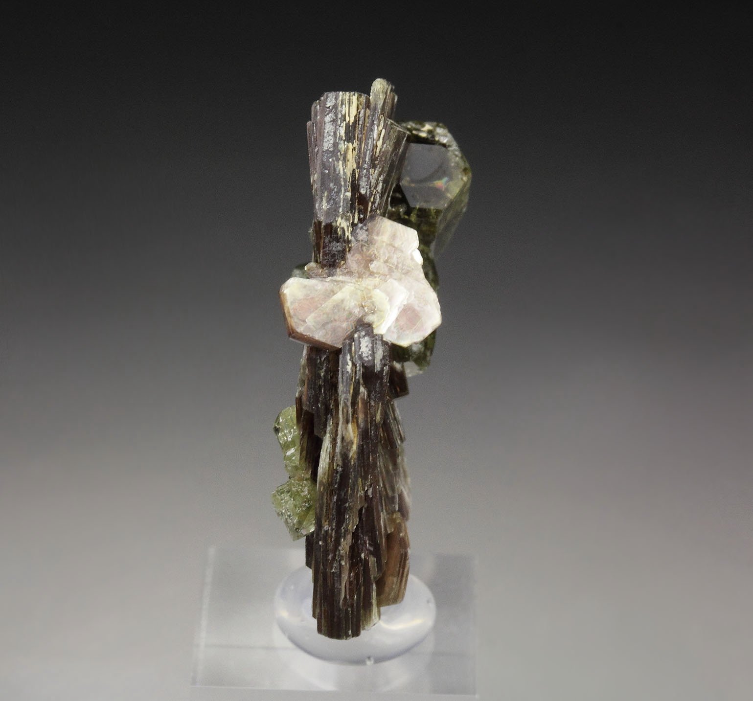 MUSCOVITE, FLUORAPATITE