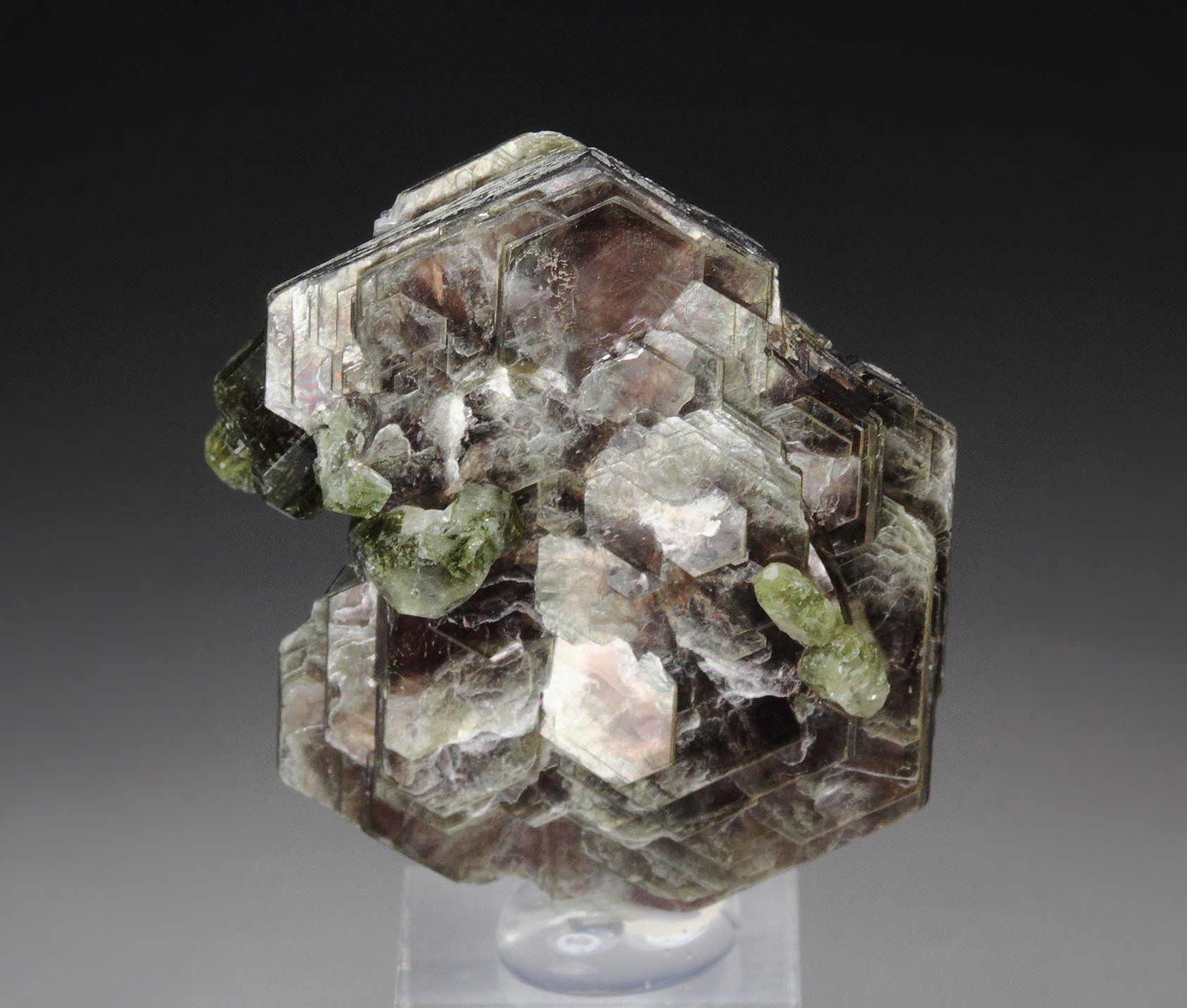 MUSCOVITE, FLUORAPATITE