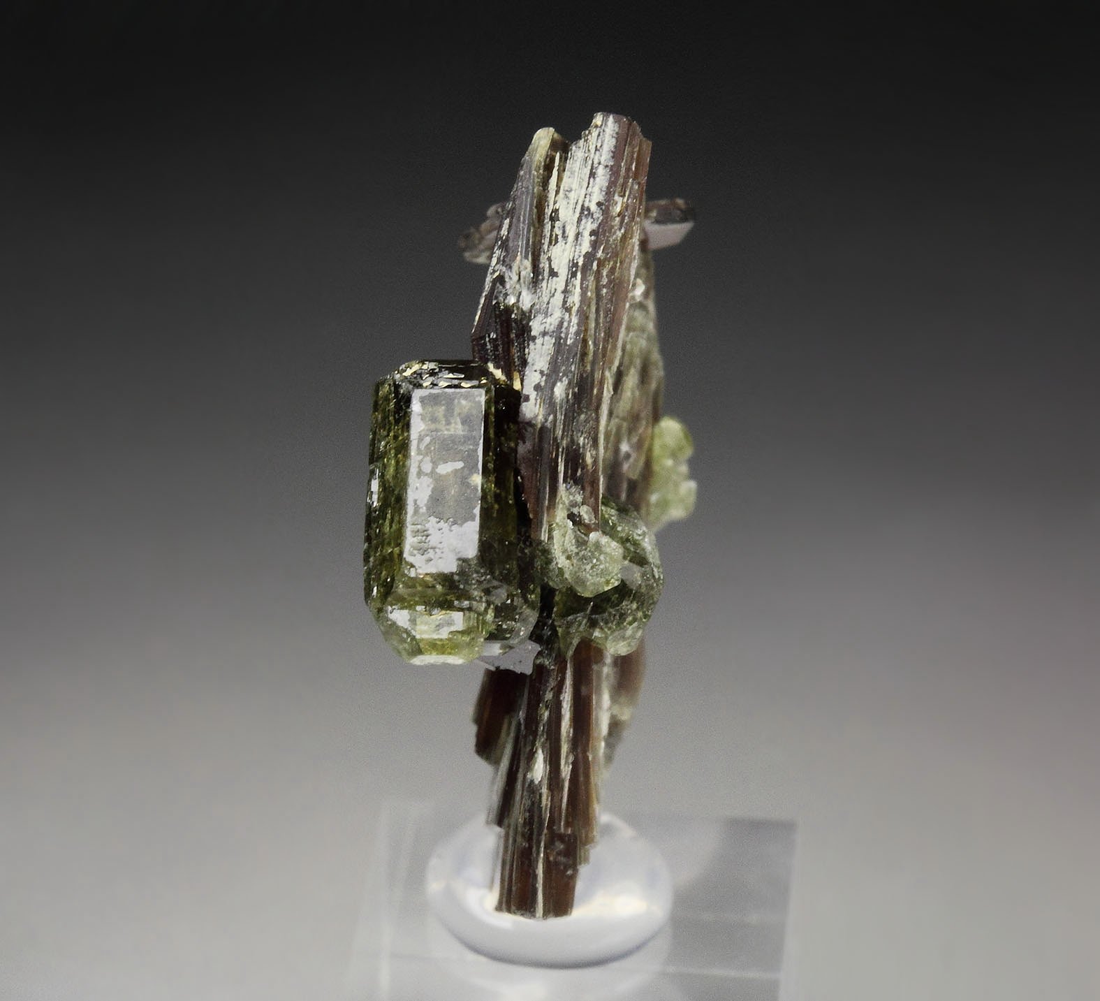 MUSCOVITE, FLUORAPATITE