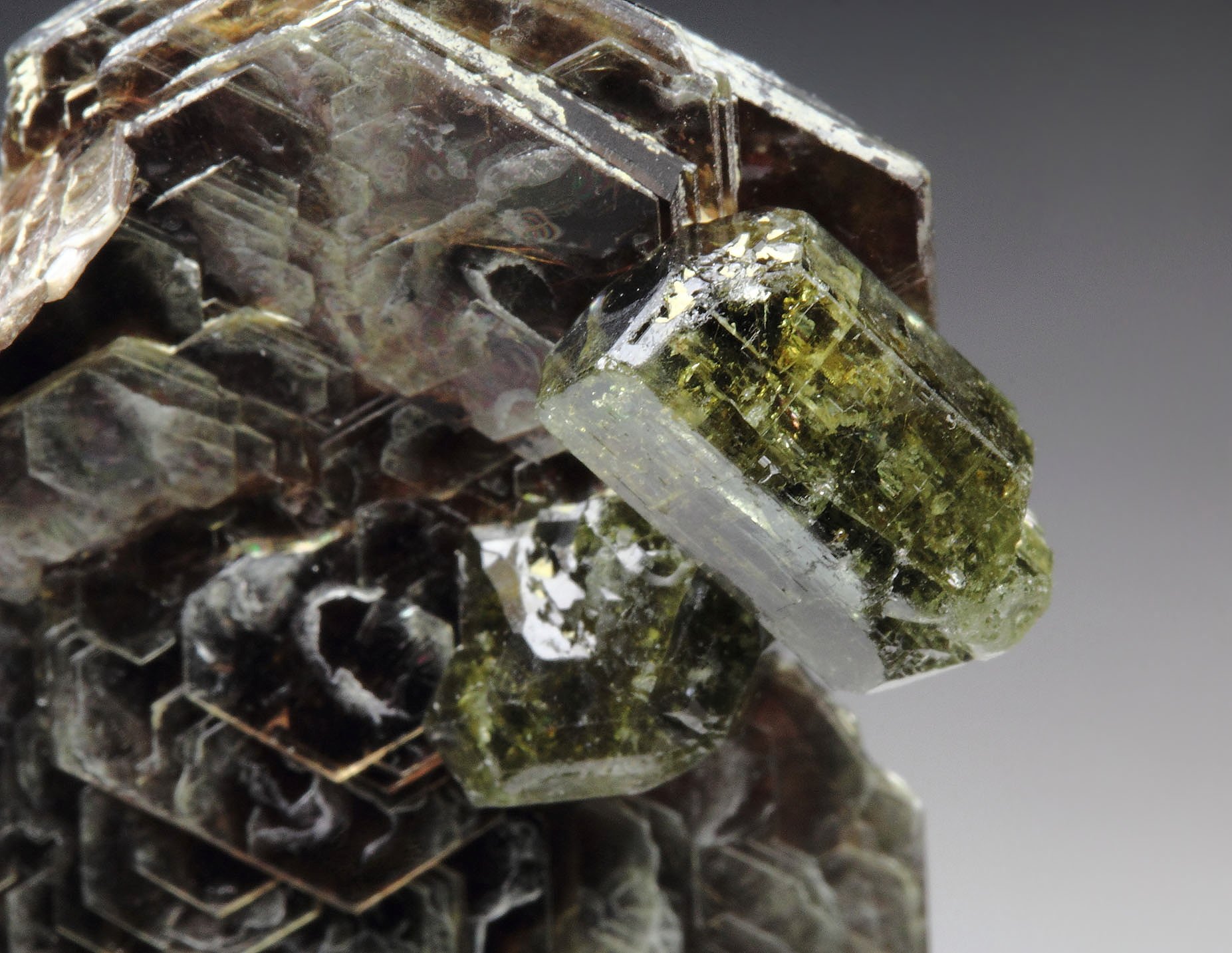 MUSCOVITE, FLUORAPATITE