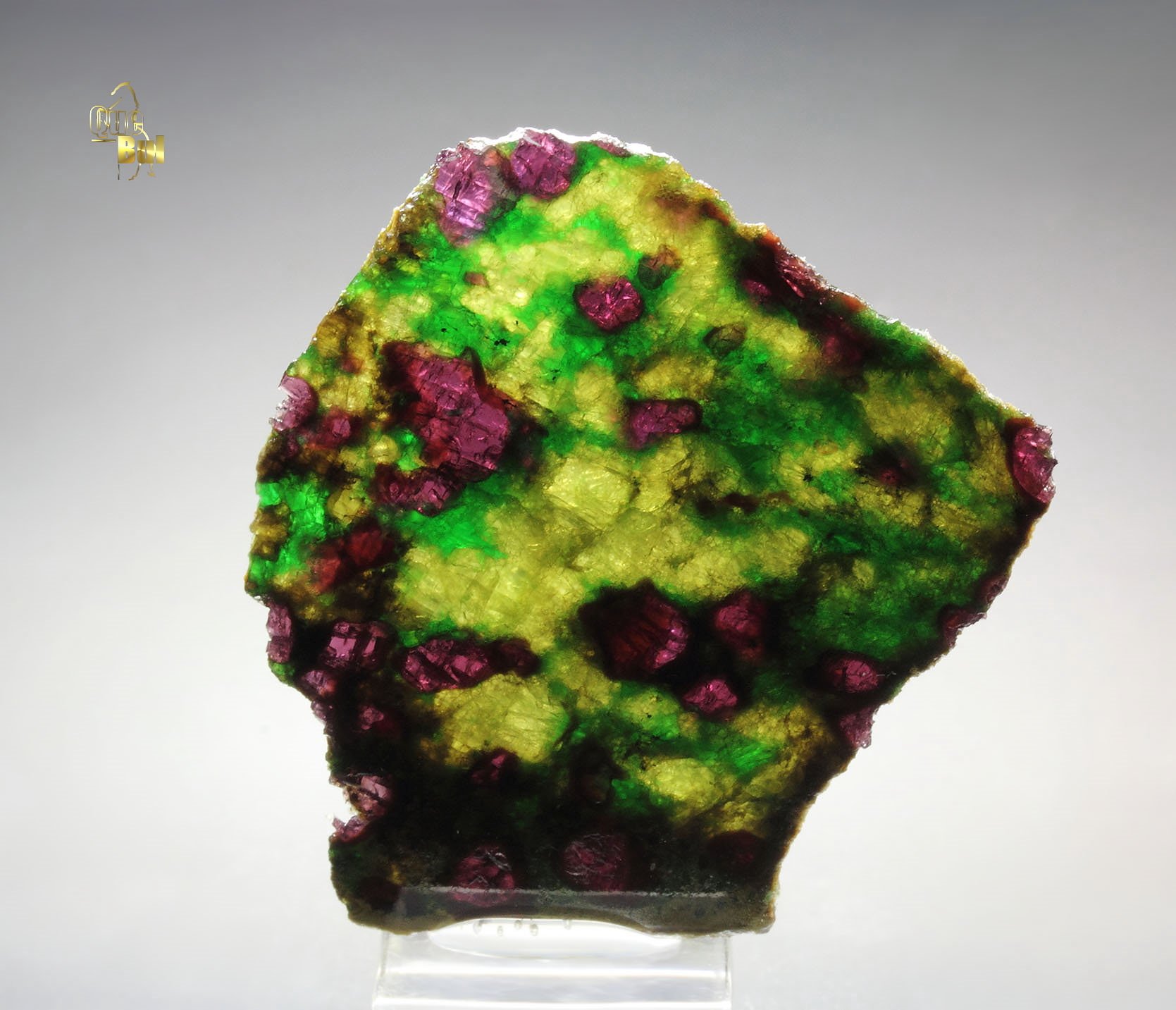 GARNET var. PYROPE, DIOPSIDE var. CHROMIUM-BEARING DIOPSIDE, ENSTATITE