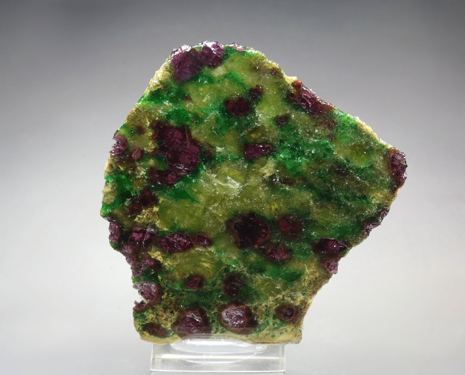 GARNET var. PYROPE, DIOPSIDE var. CHROMIUM-BEARING DIOPSIDE, ENSTATITE