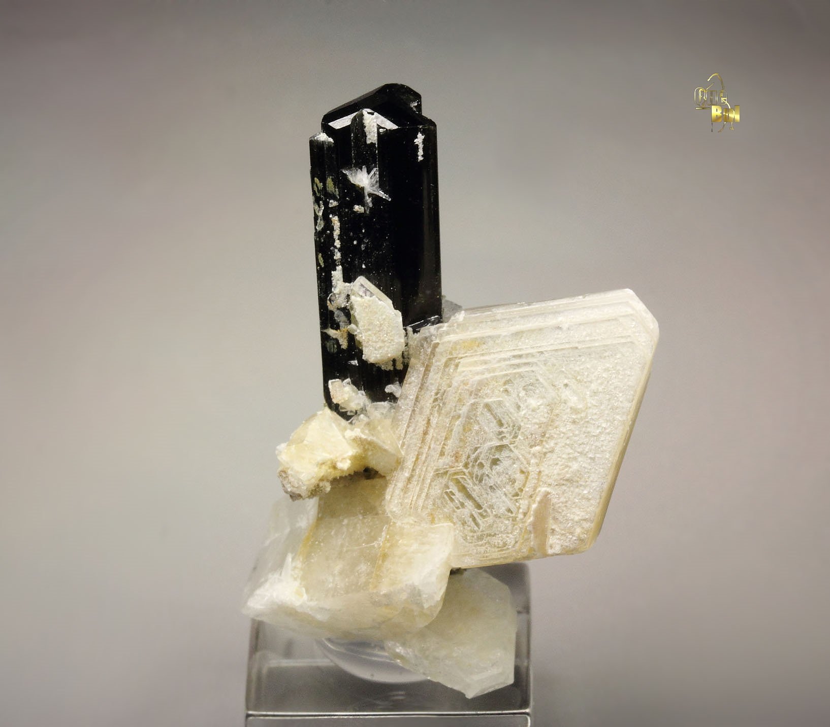 TOURMALINE var. ELBAITE, MUSCOVITE, ALBITE