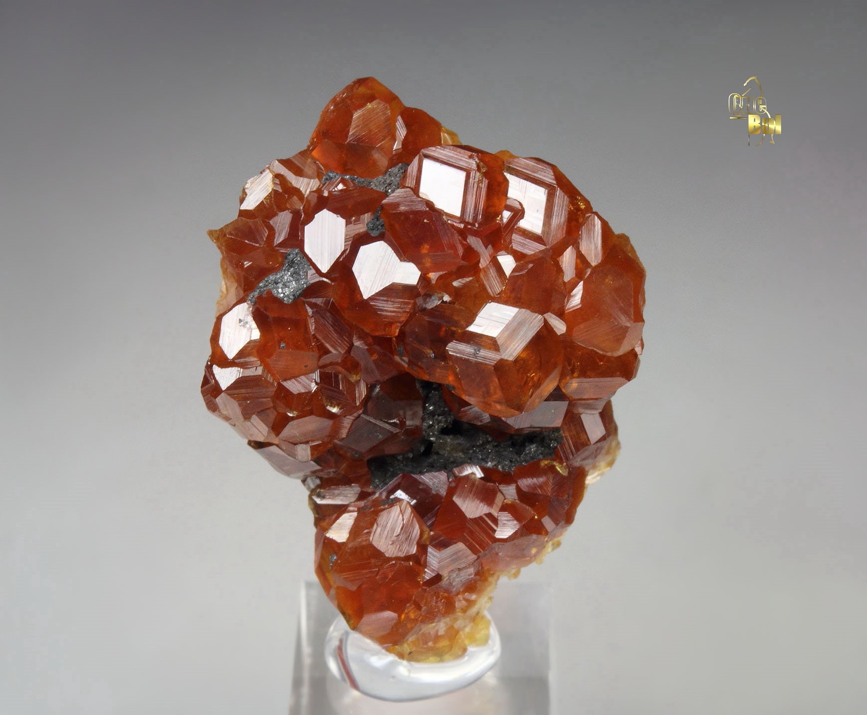 gem GARNET var. SPESSARTINE