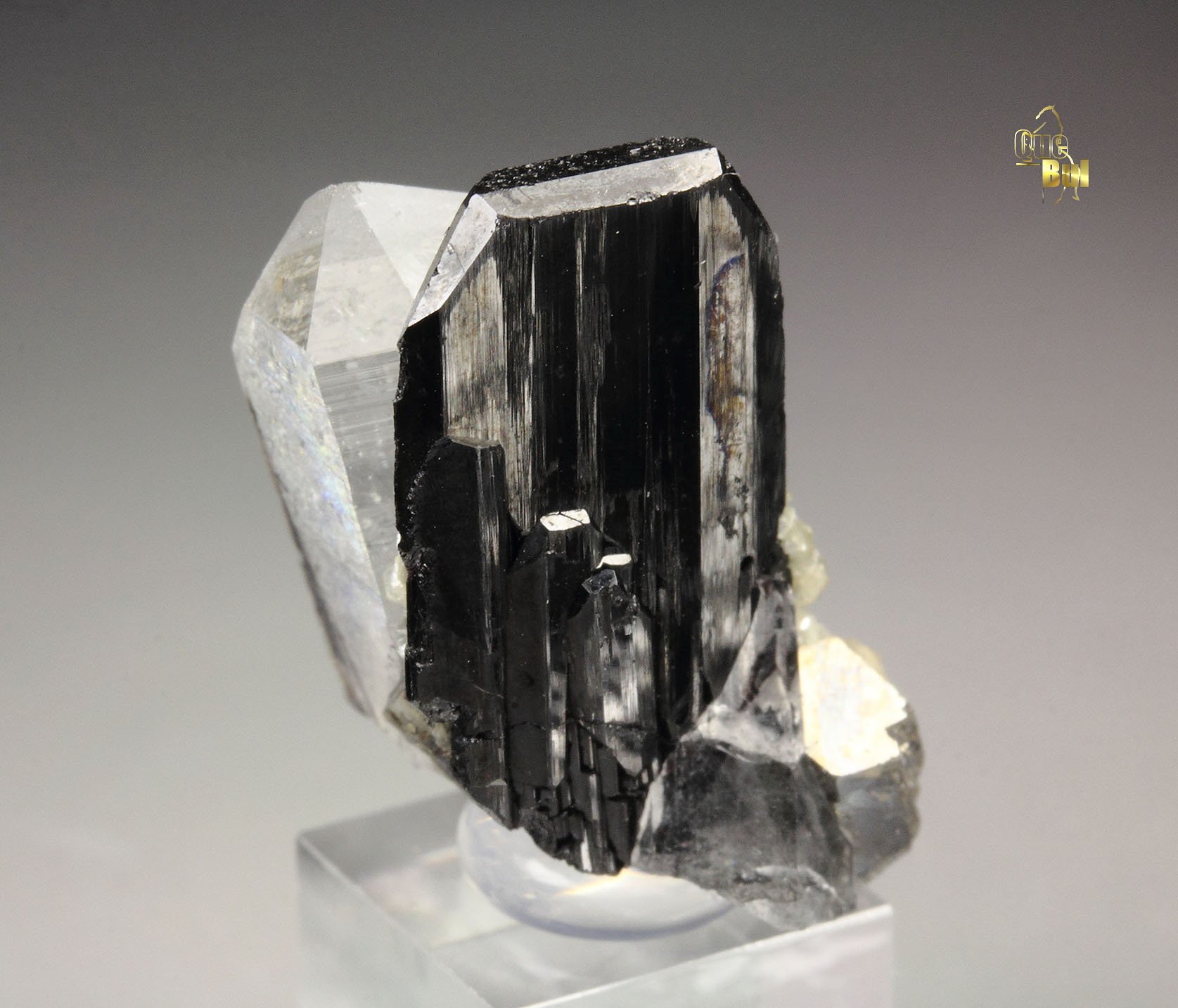 WOLFRAMITE GROUP (HUBNERITE-FERBERITE), QUARTZ