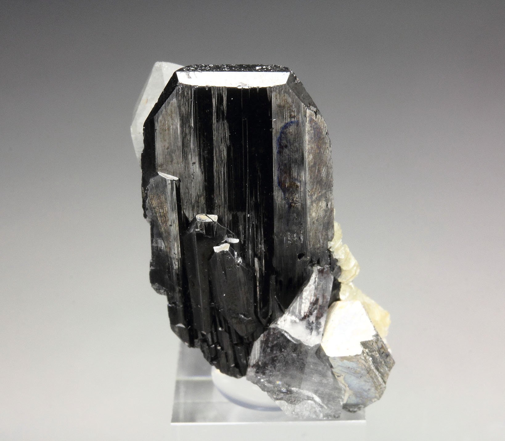 WOLFRAMITE GROUP (HUBNERITE-FERBERITE), QUARTZ