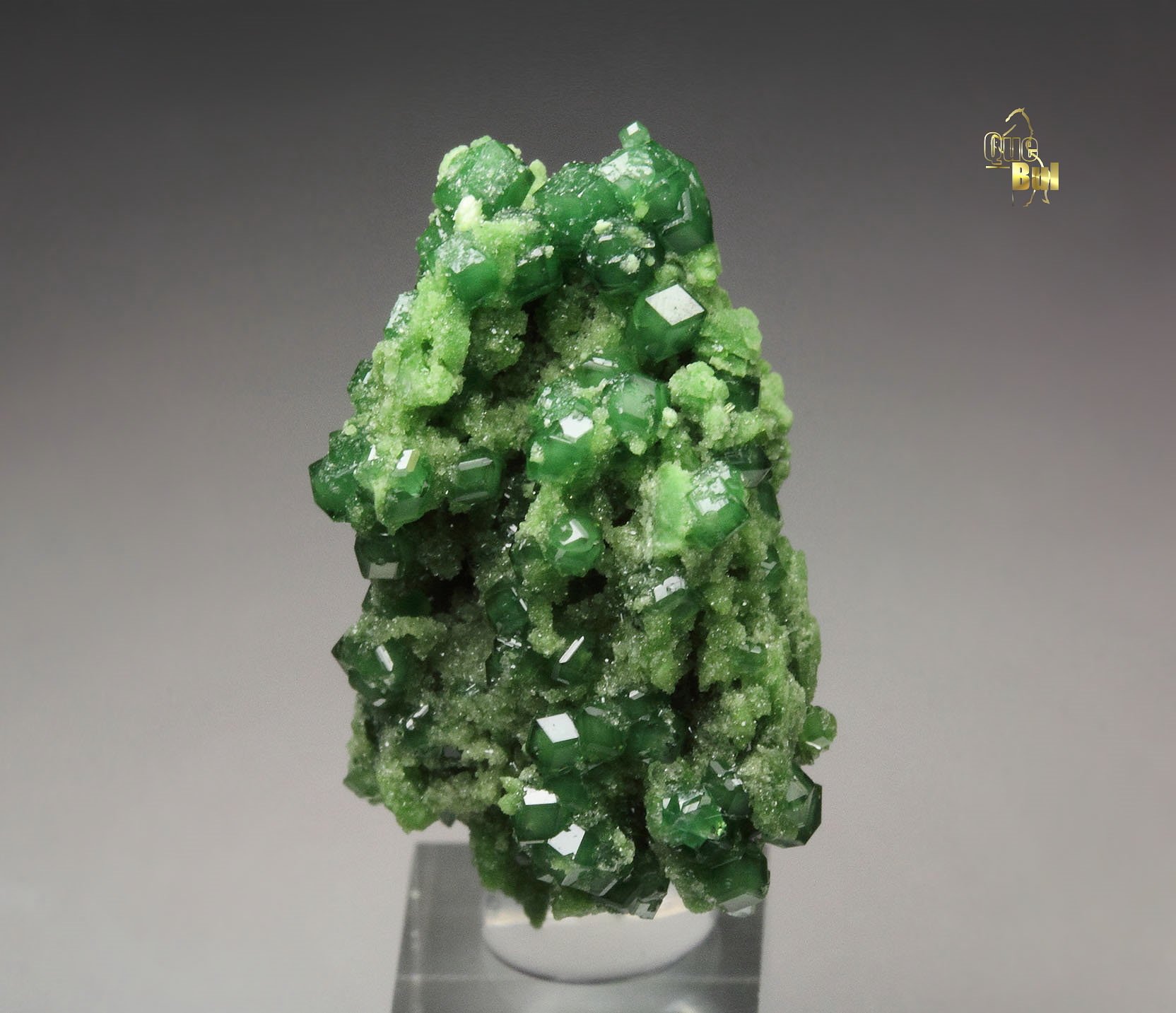 gemmy GARNET var. GROSSULAR var. CHROMIAN, DIOPSIDE