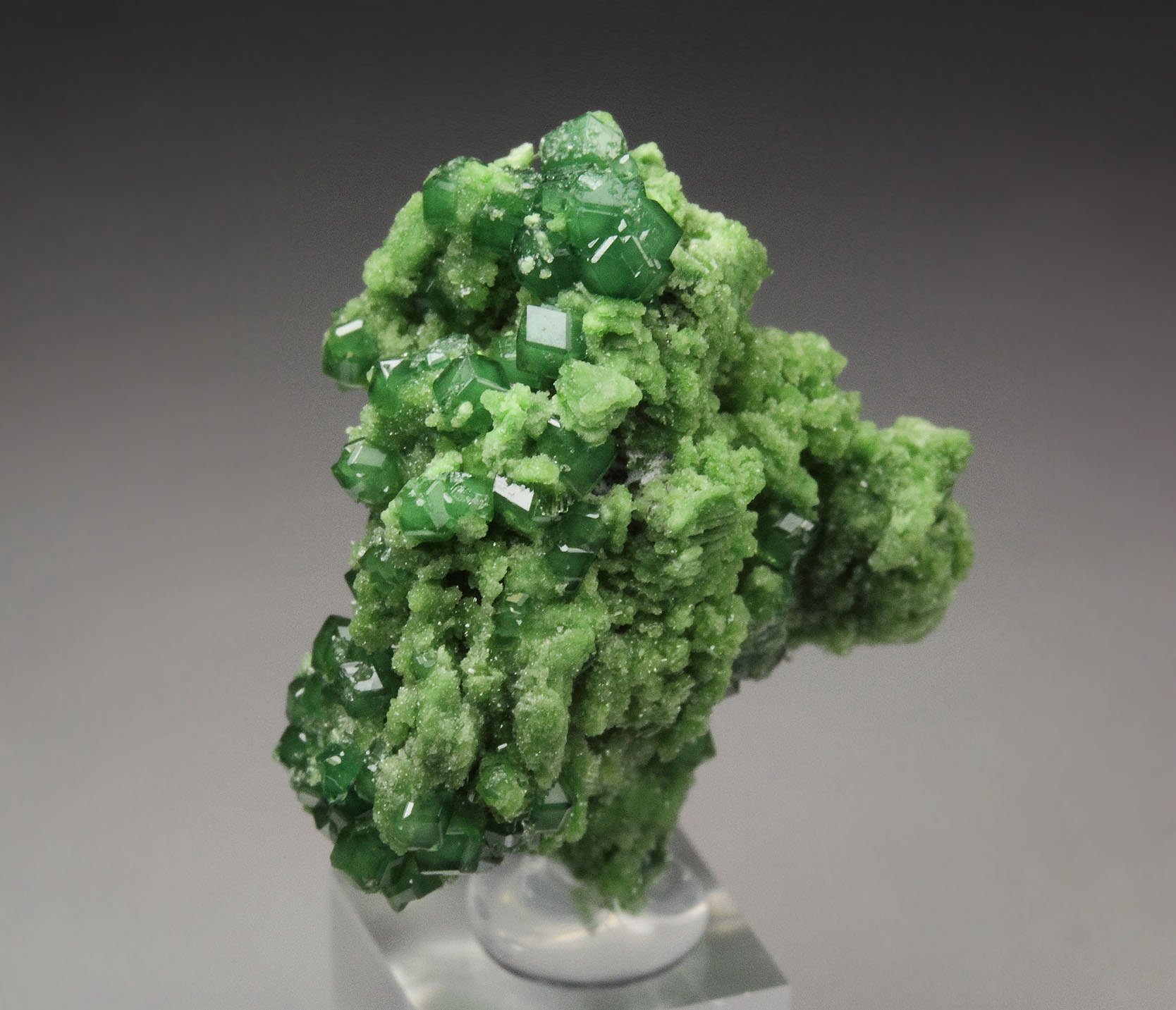 gemmy GARNET var. GROSSULAR var. CHROMIAN, DIOPSIDE