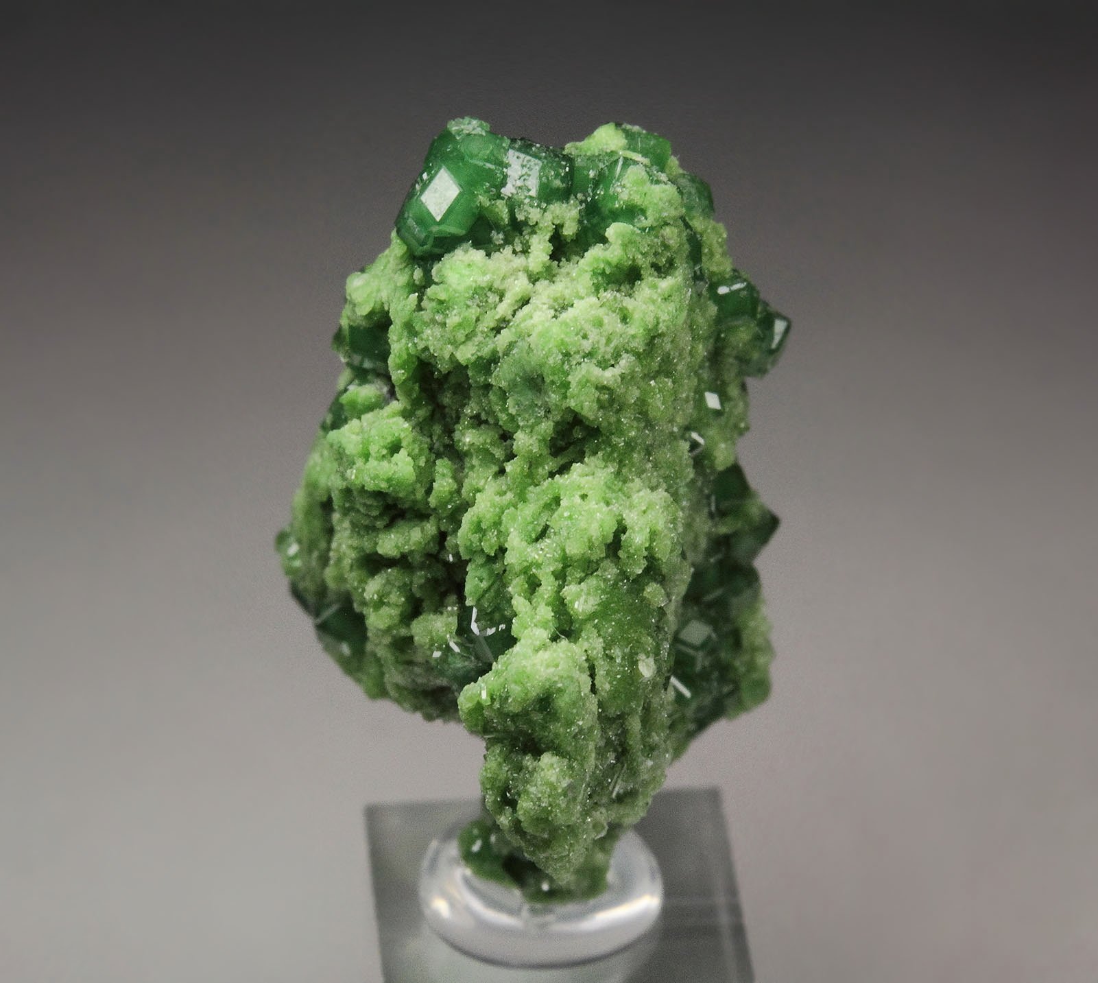 gemmy GARNET var. GROSSULAR var. CHROMIAN, DIOPSIDE