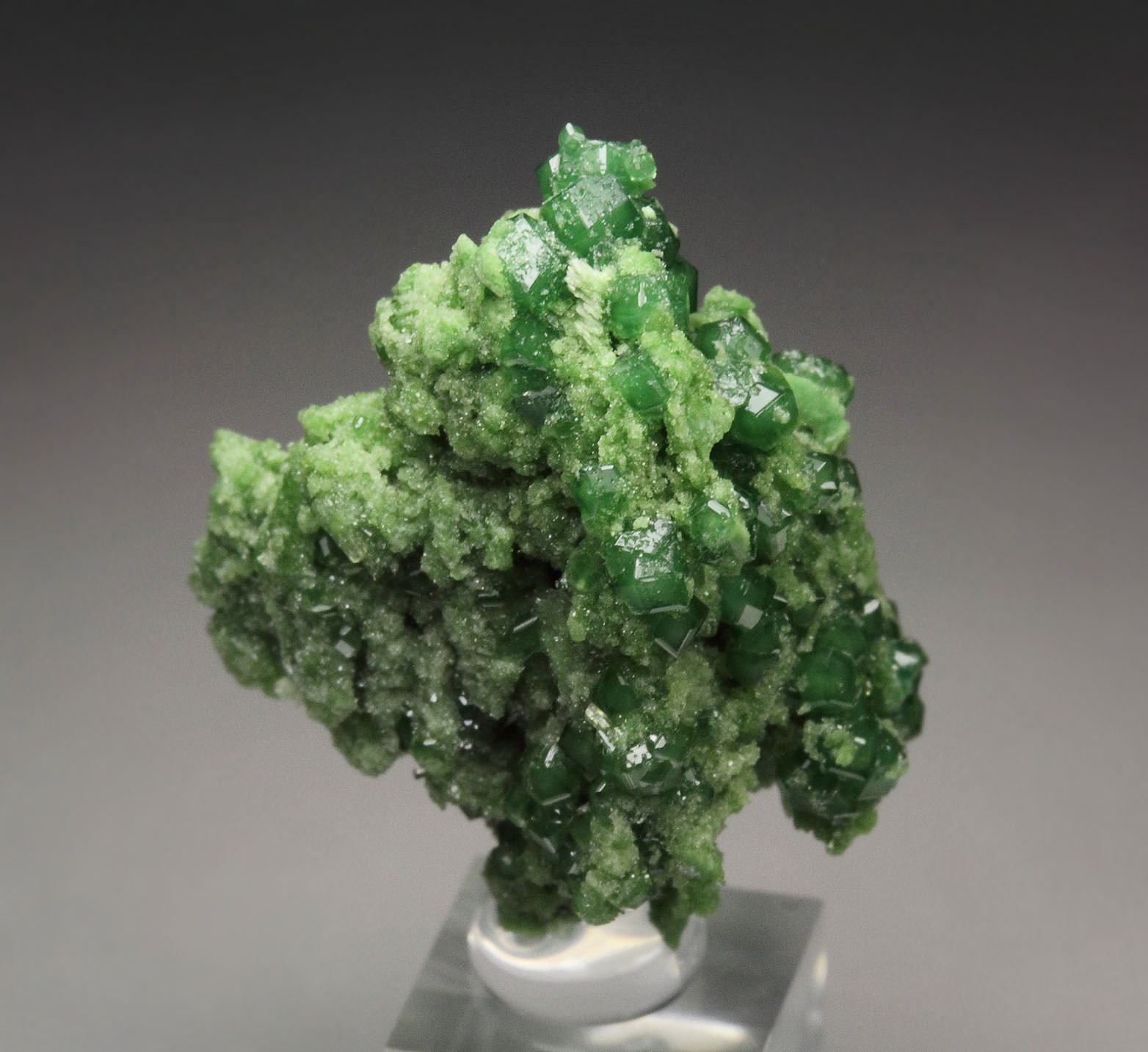 gemmy GARNET var. GROSSULAR var. CHROMIAN, DIOPSIDE