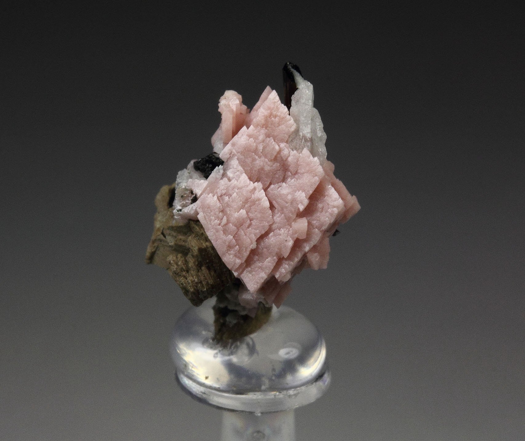 RHODOCHROSITE, AEGIRINE