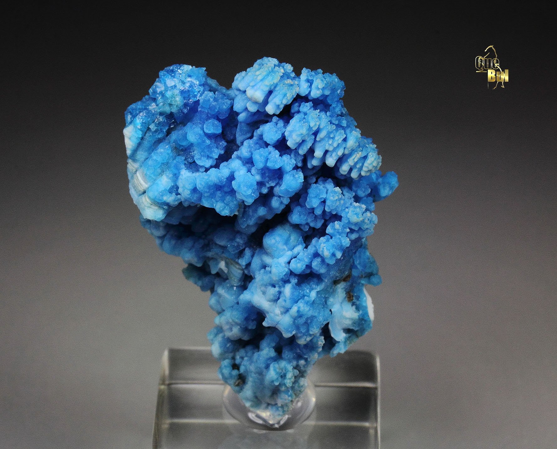 EVANSITE