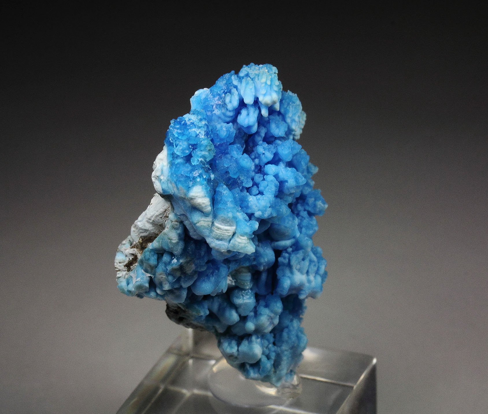 EVANSITE