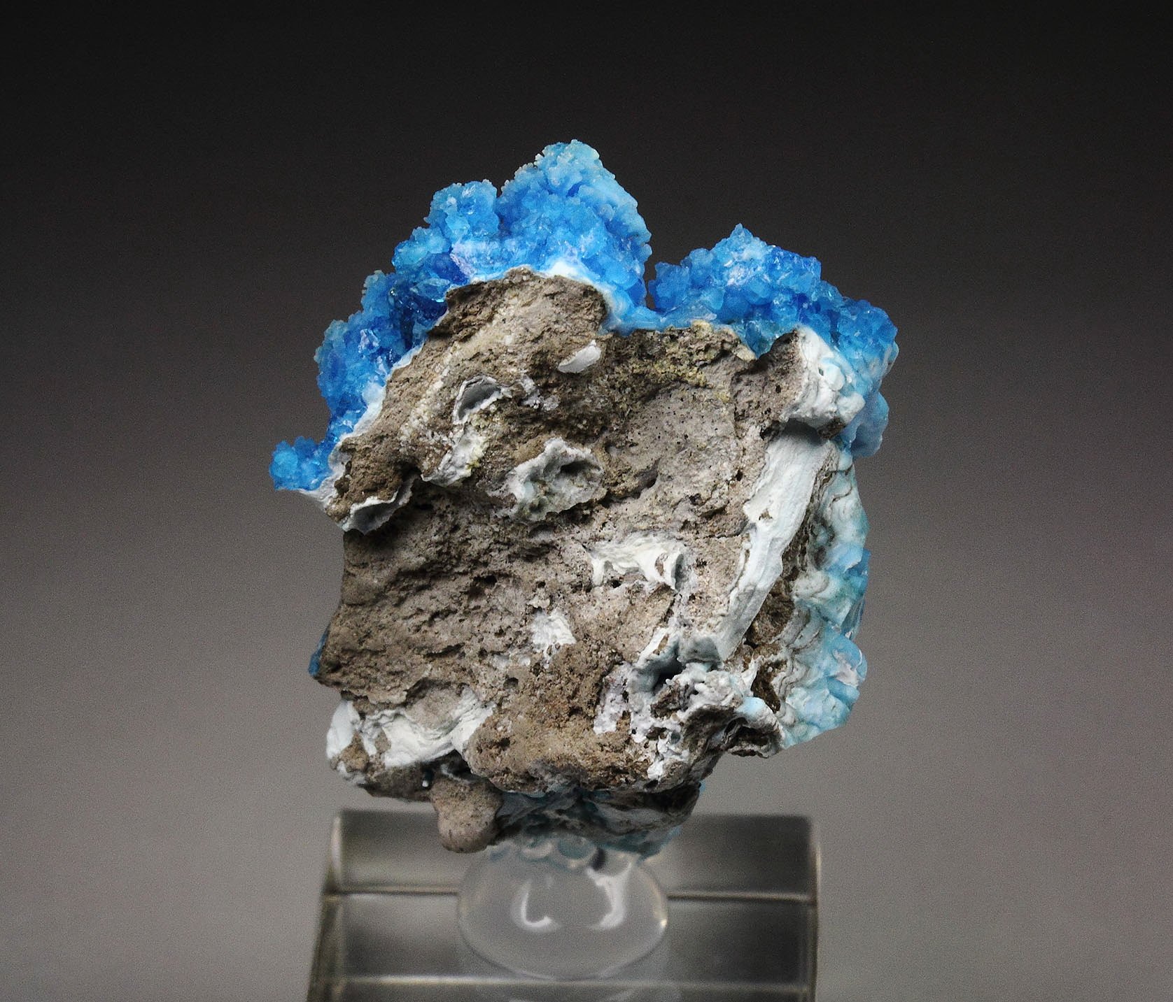 EVANSITE