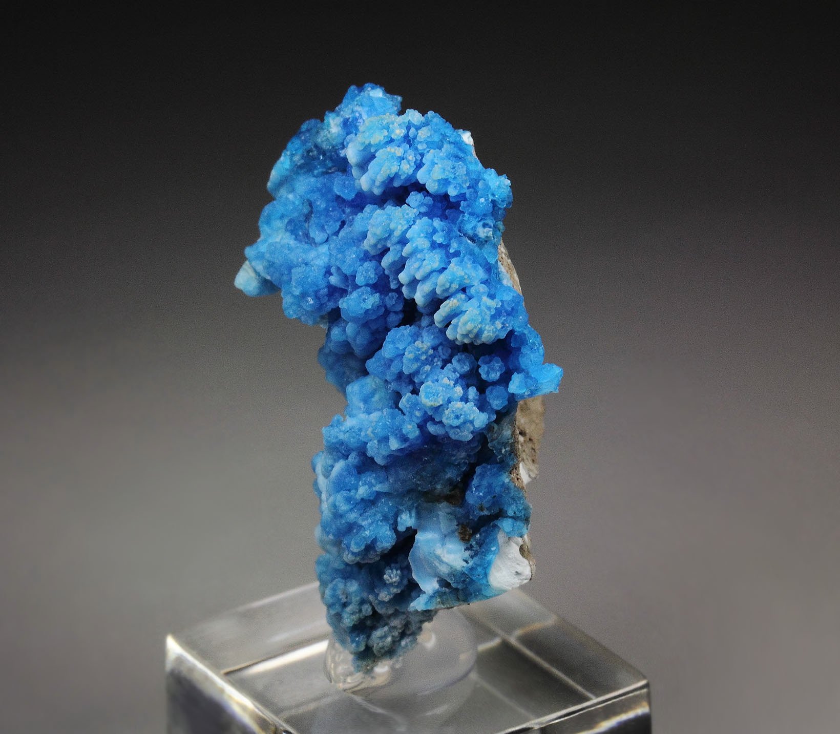 EVANSITE